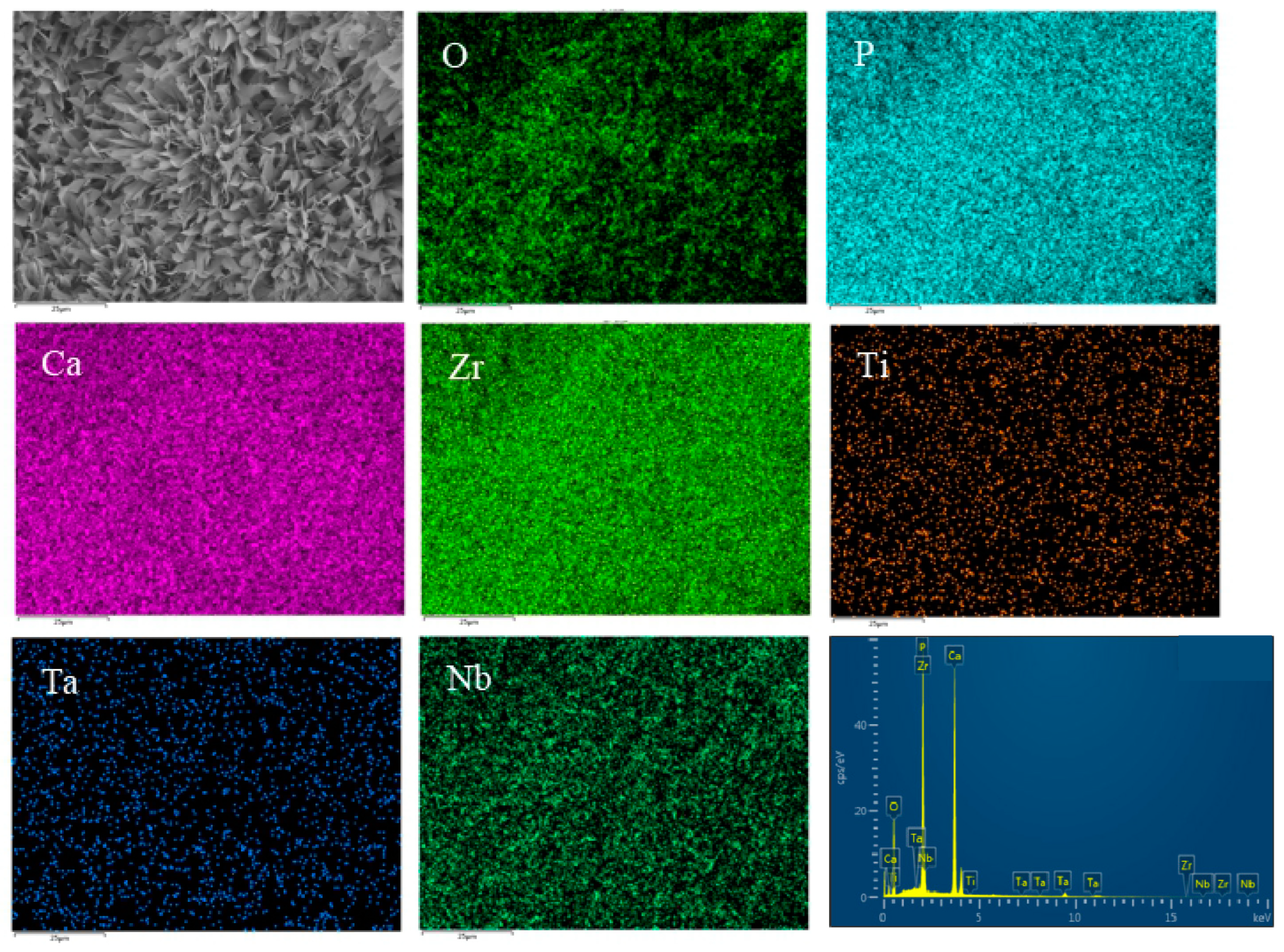 Materials 16 05095 g016