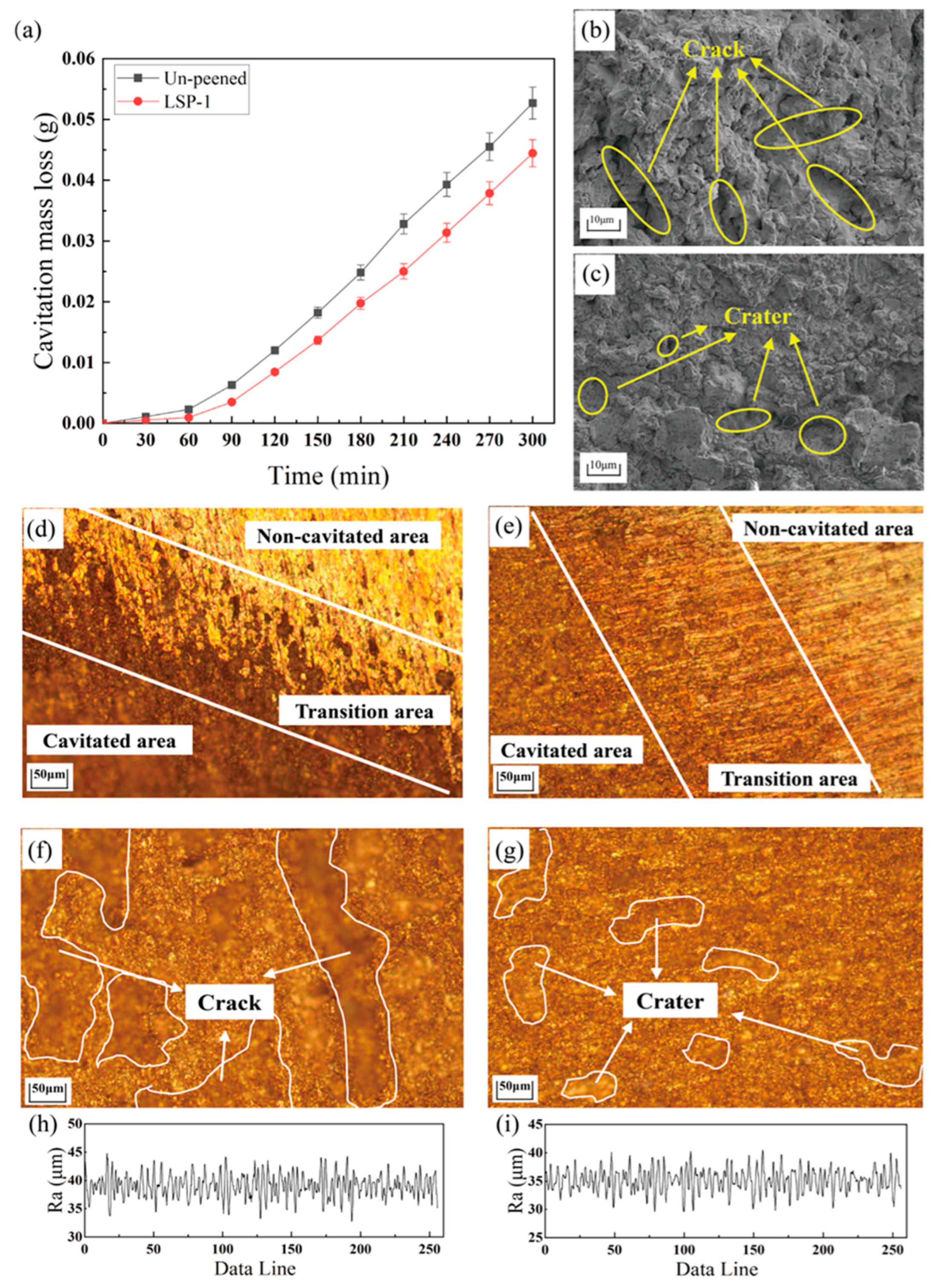 Materials 16 05096 g008 Materials 16 05096 g008