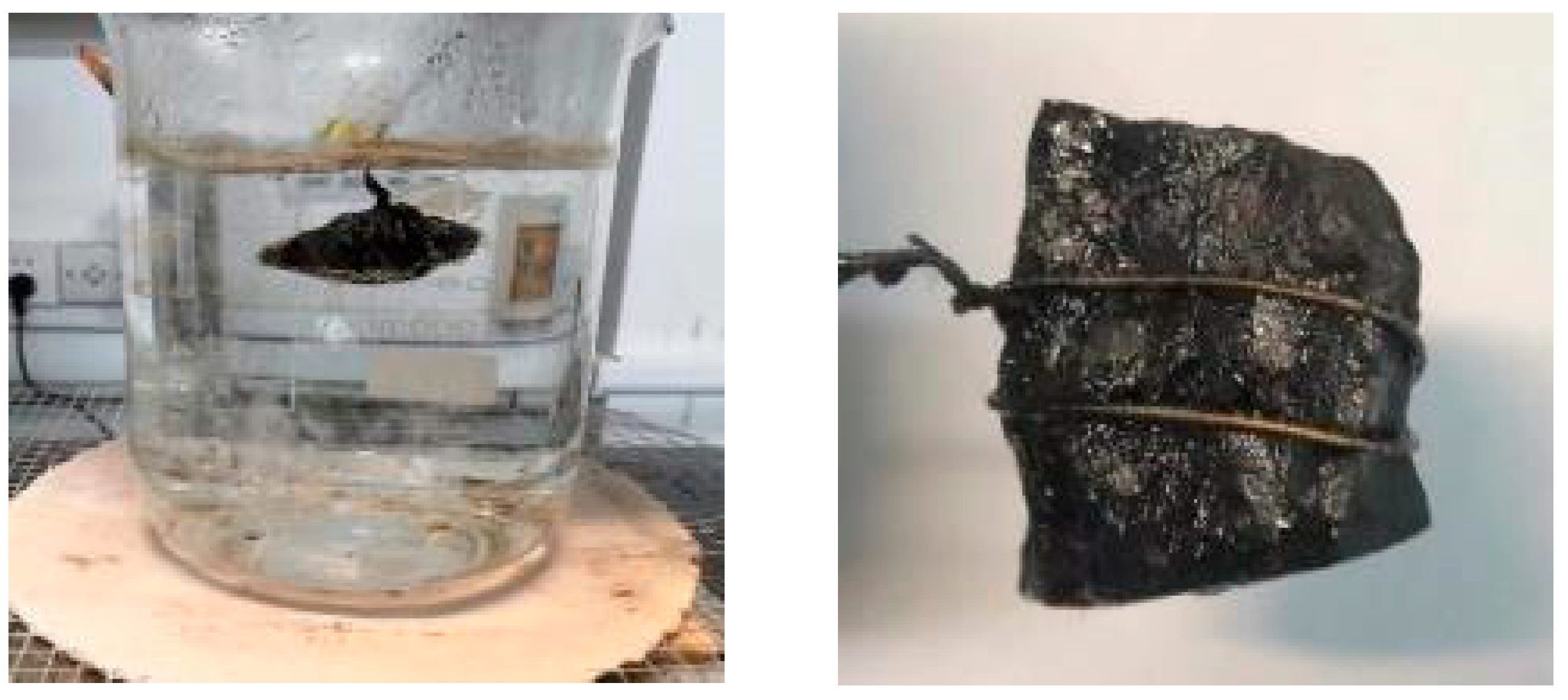 Materials 16 05097 g001