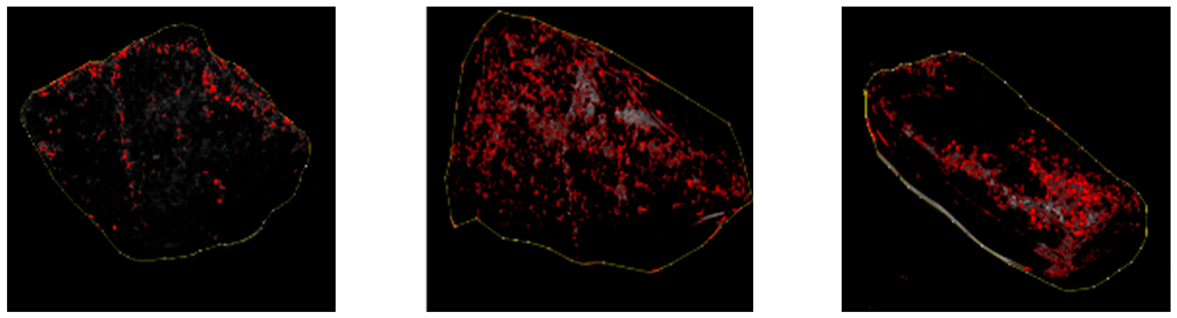 Materials 16 05097 g007