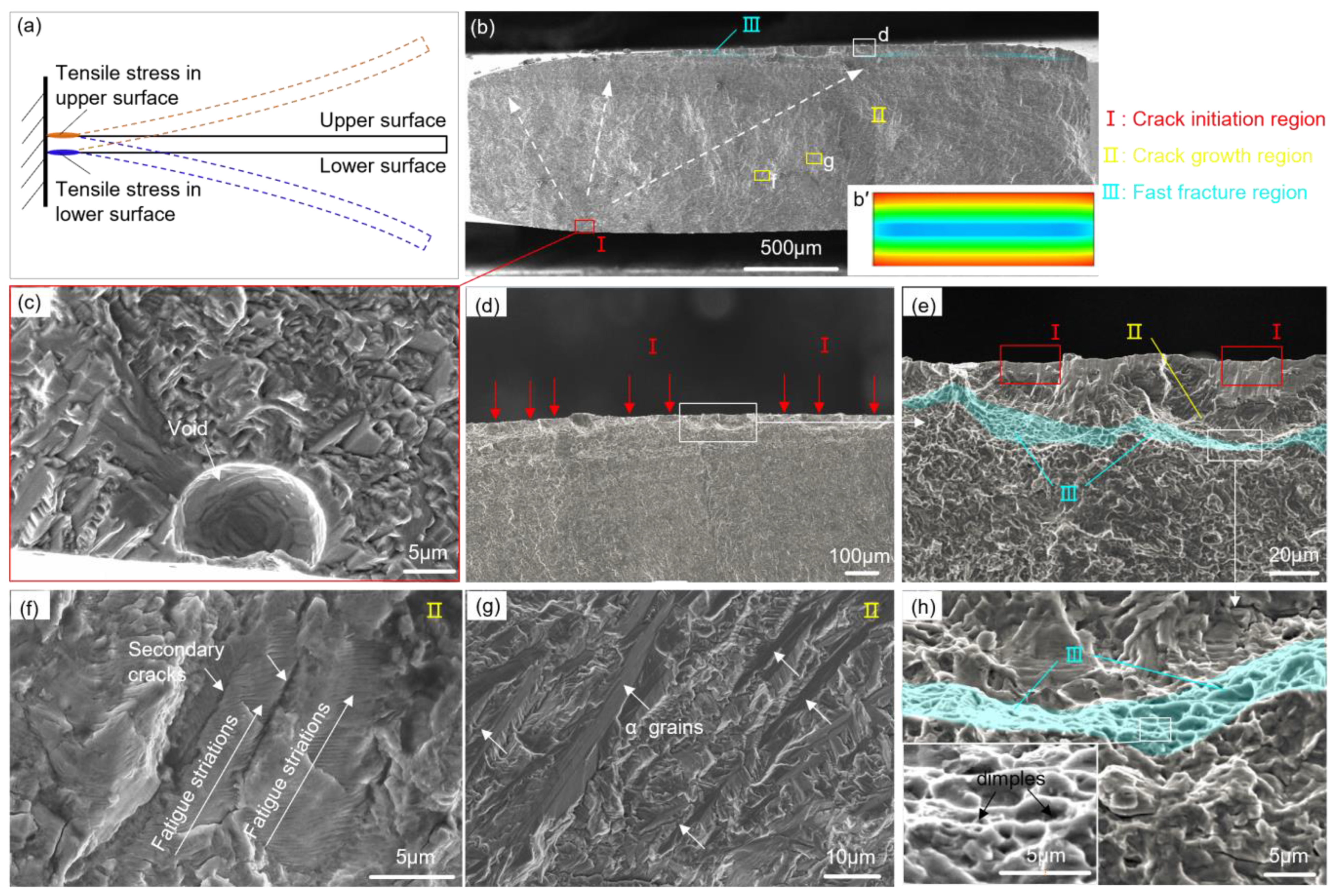 Materials 16 05099 g007