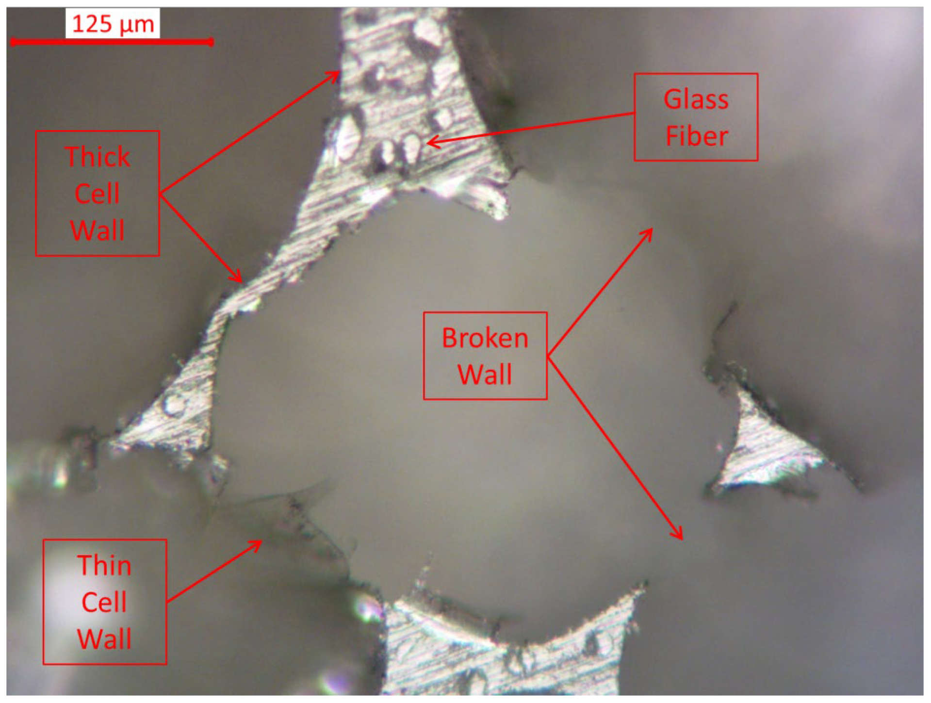 Materials 16 05101 g004