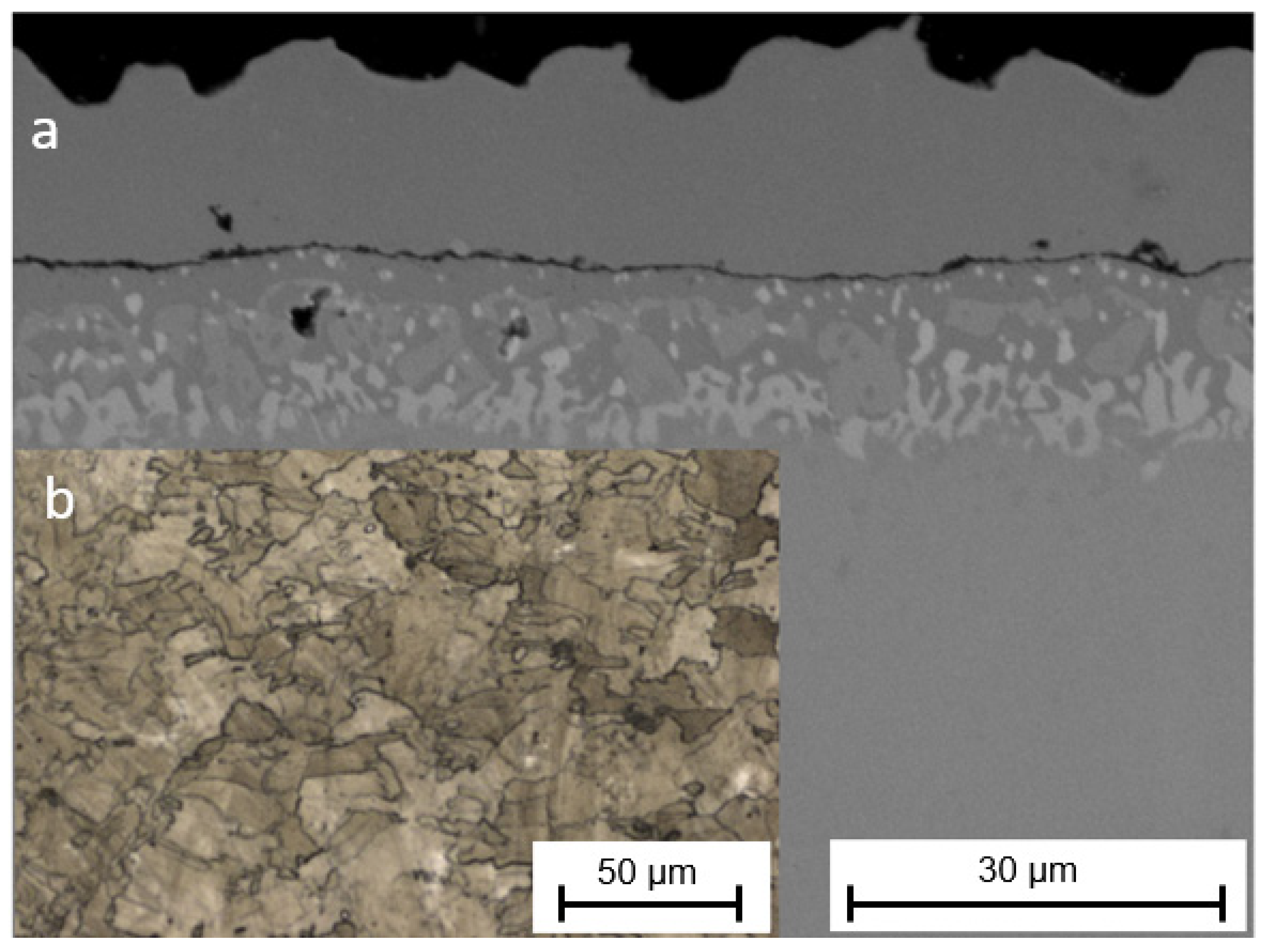 Materials 16 05108 g002 Materials 16 05108 g002
