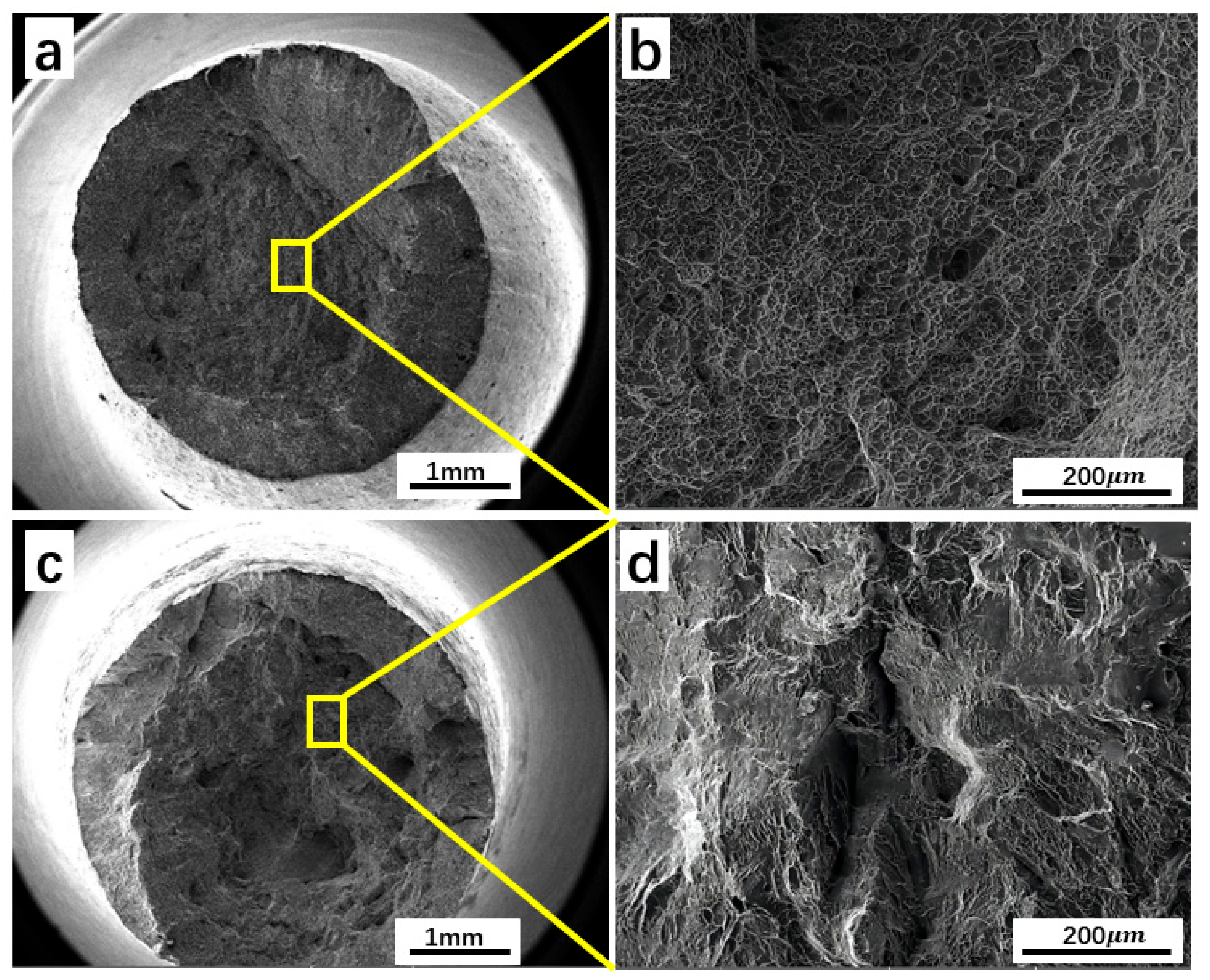 Materials 16 05109 g007 Materials 16 05109 g007