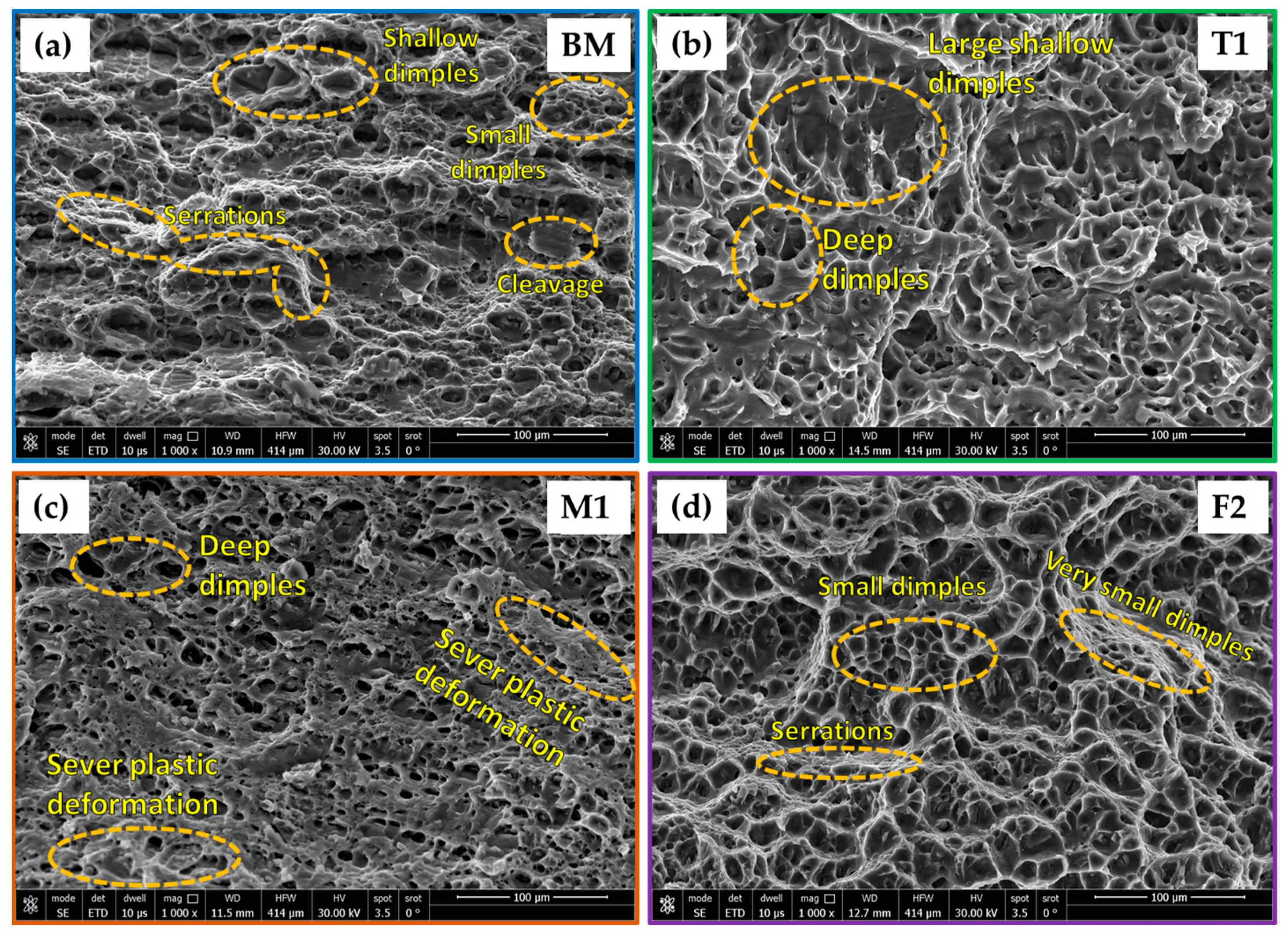 Materials 16 05124 g011