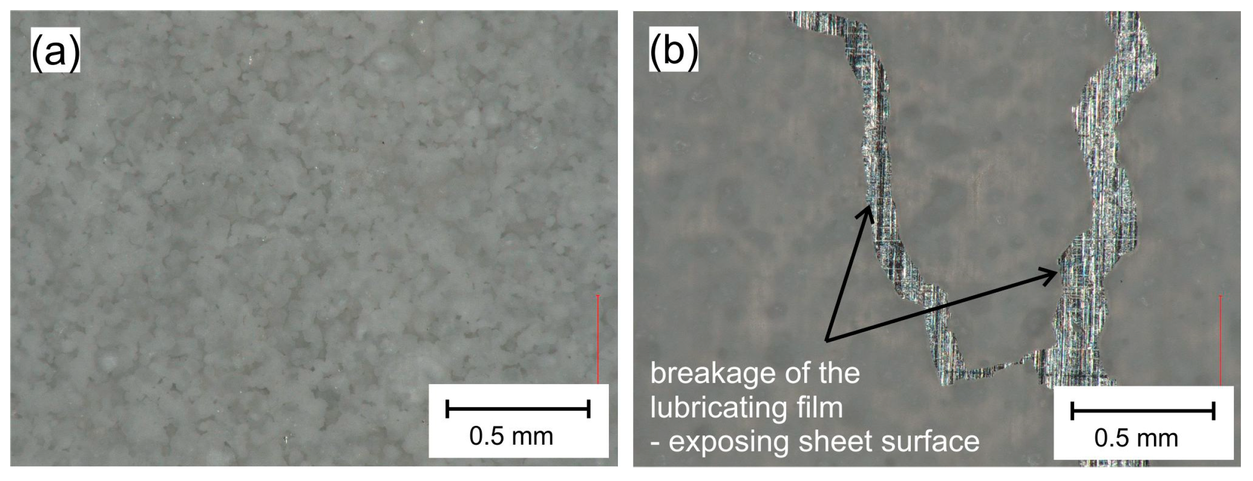 Materials 16 05125 g007 Materials 16 05125 g007