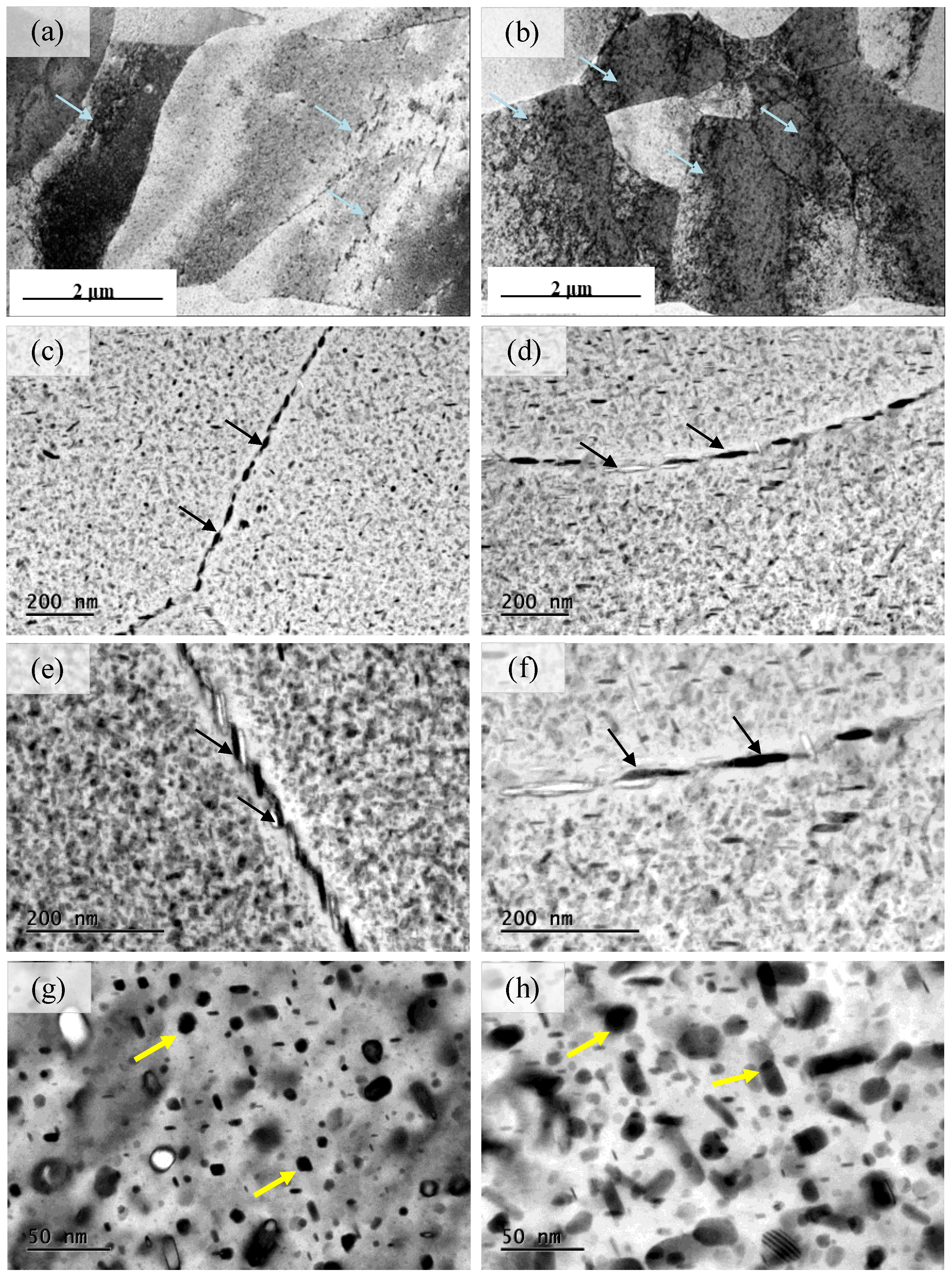 Materials 16 05129 g008