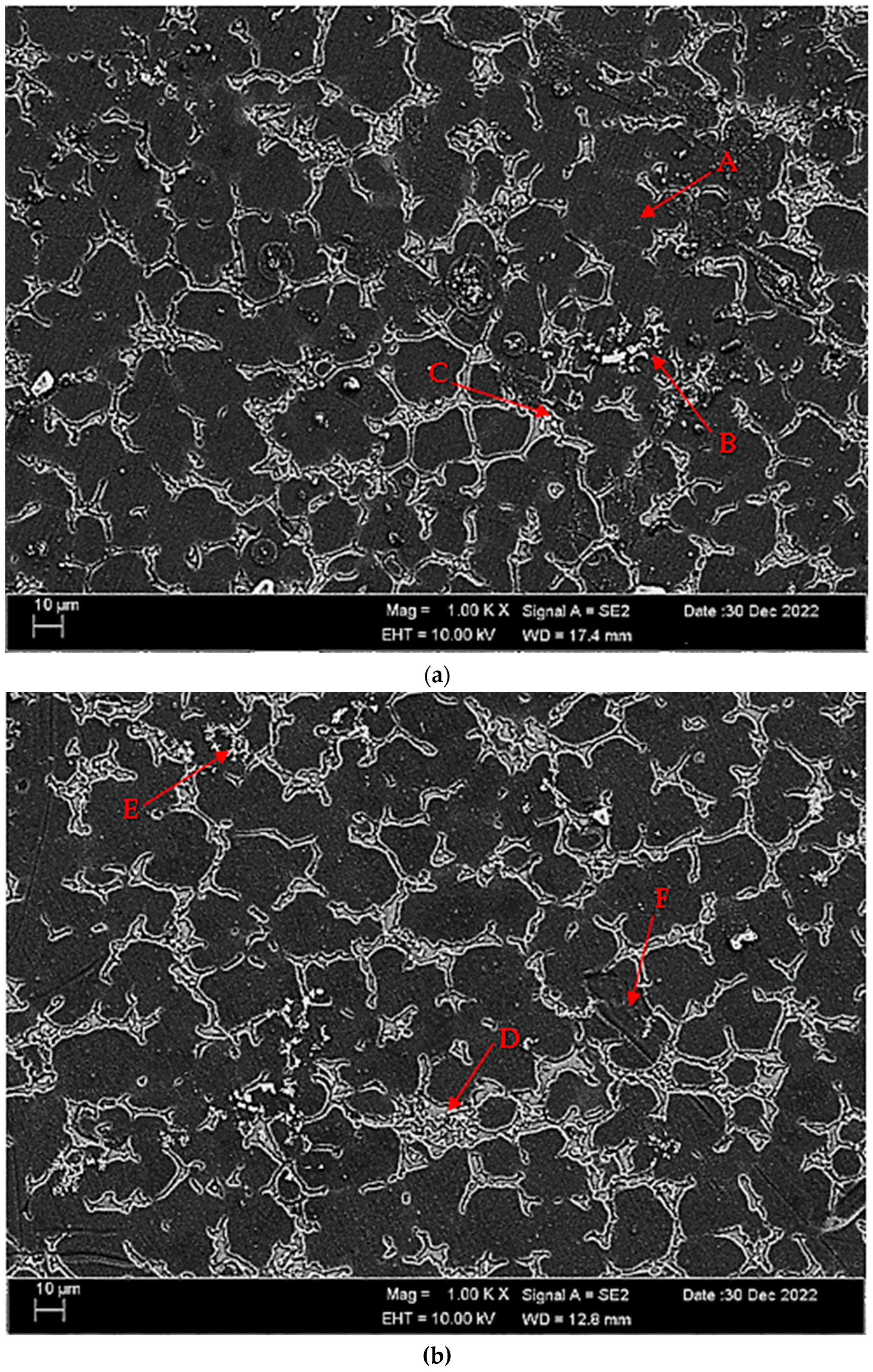 Materials 16 05141 g004