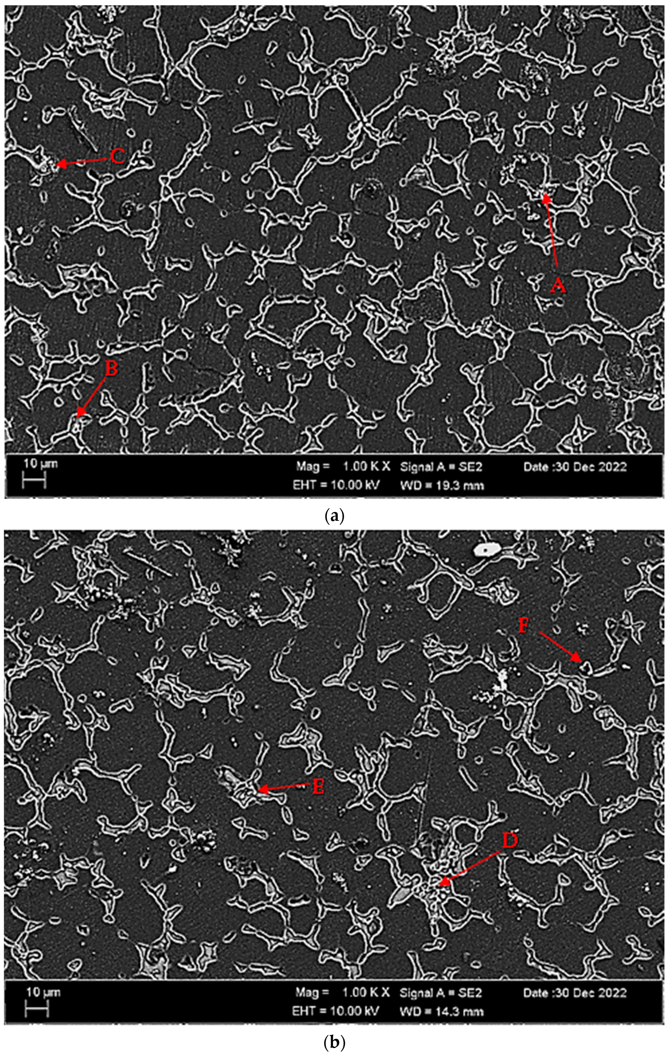 Materials 16 05141 g005