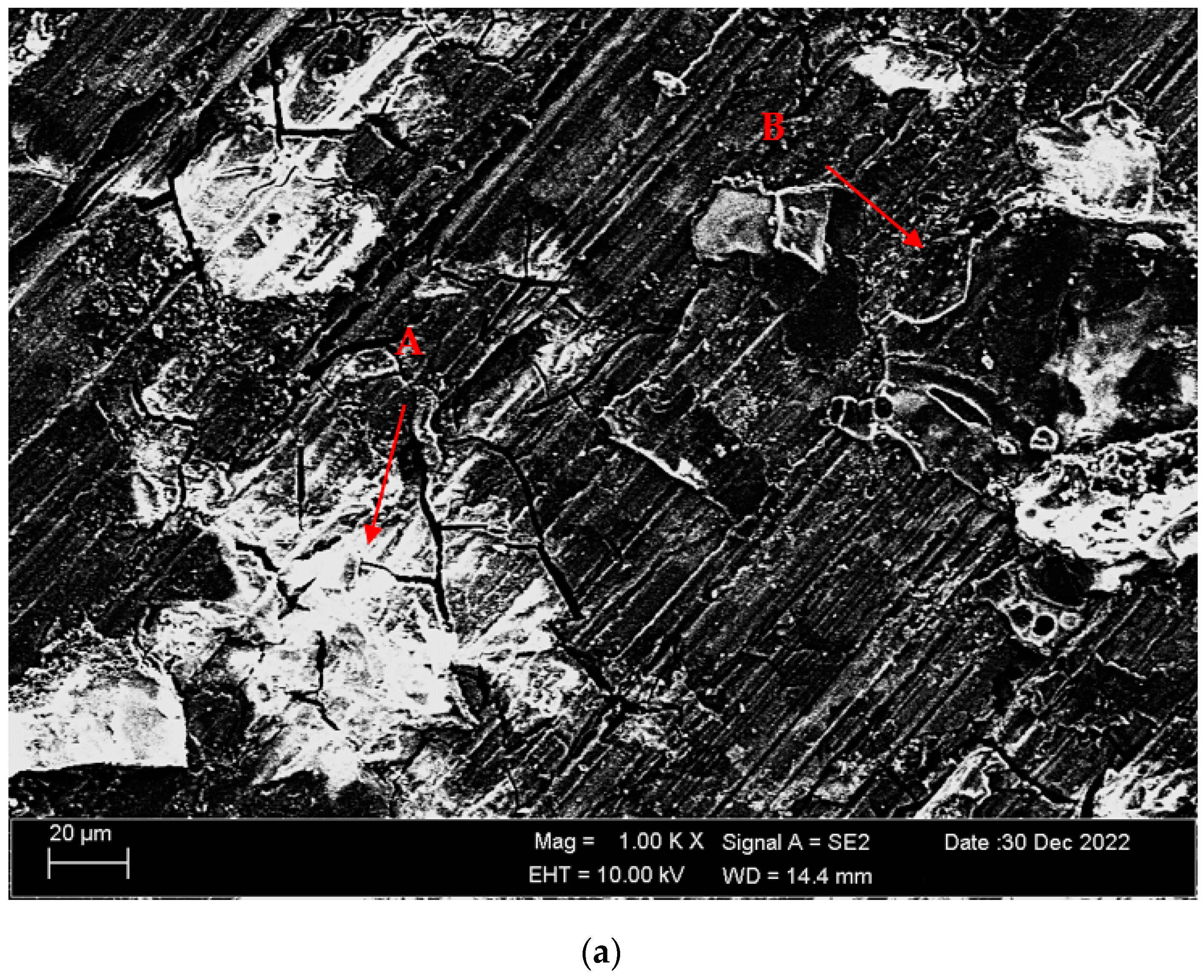 Materials 16 05141 g014a