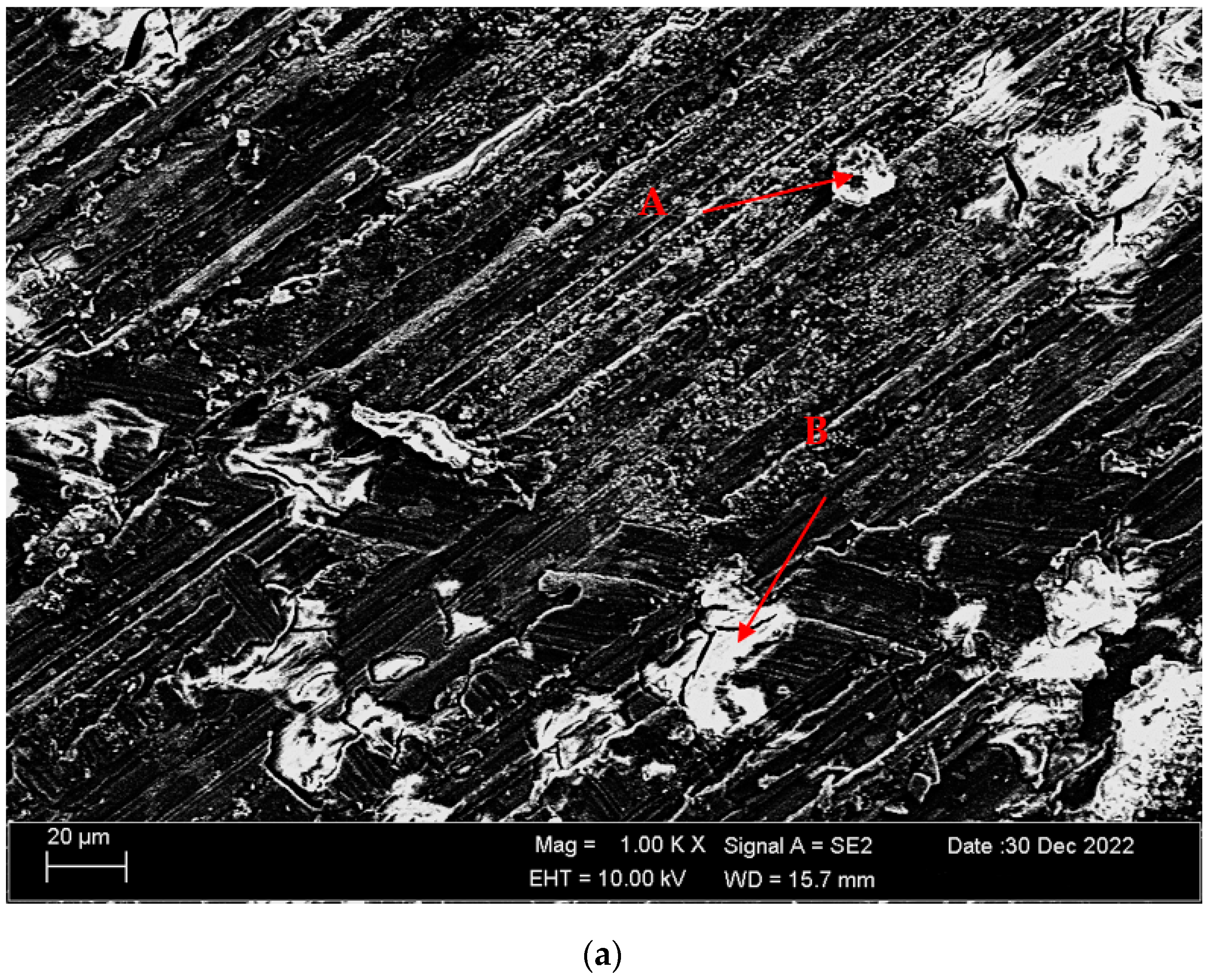 Materials 16 05141 g015a