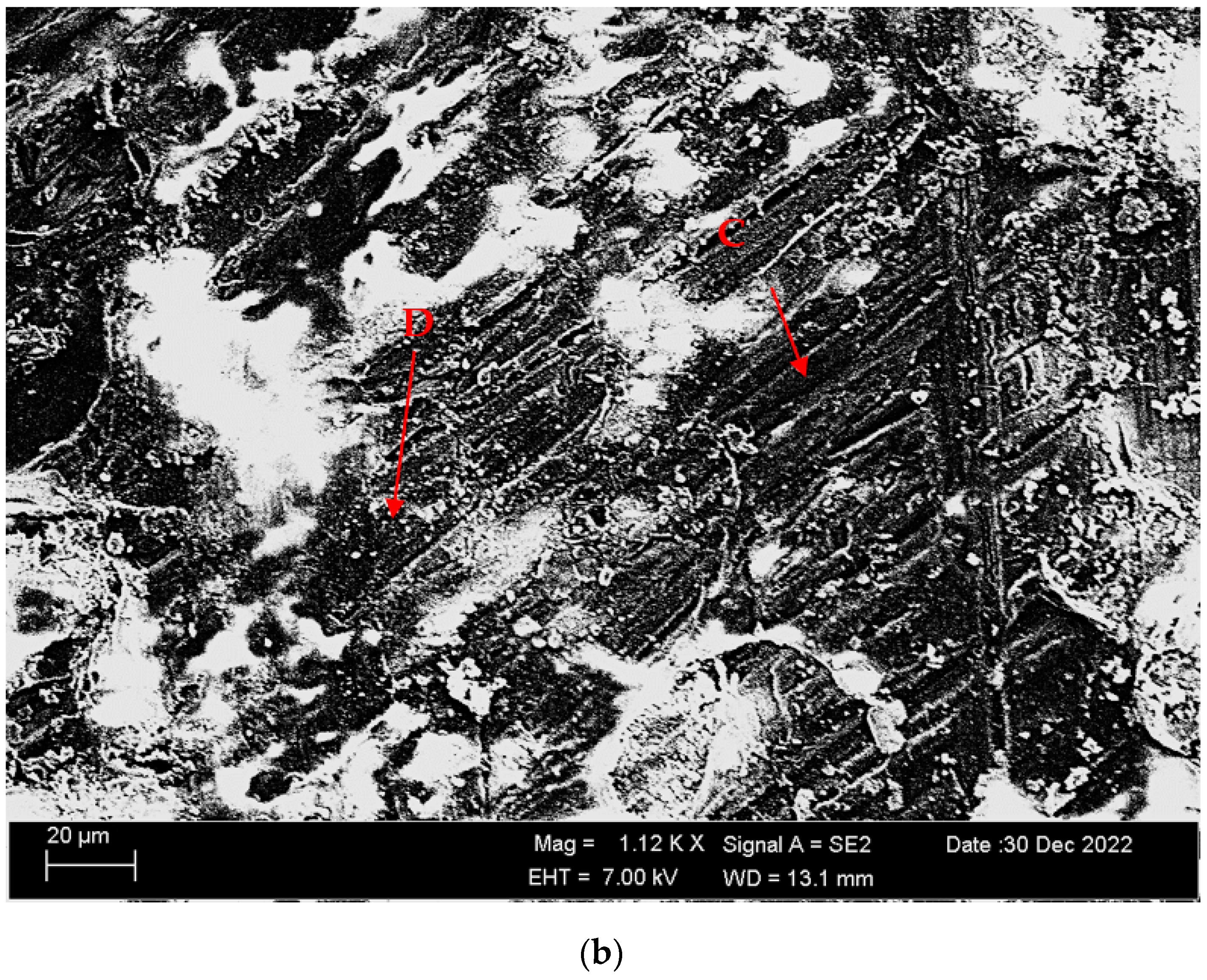 Materials 16 05141 g015b