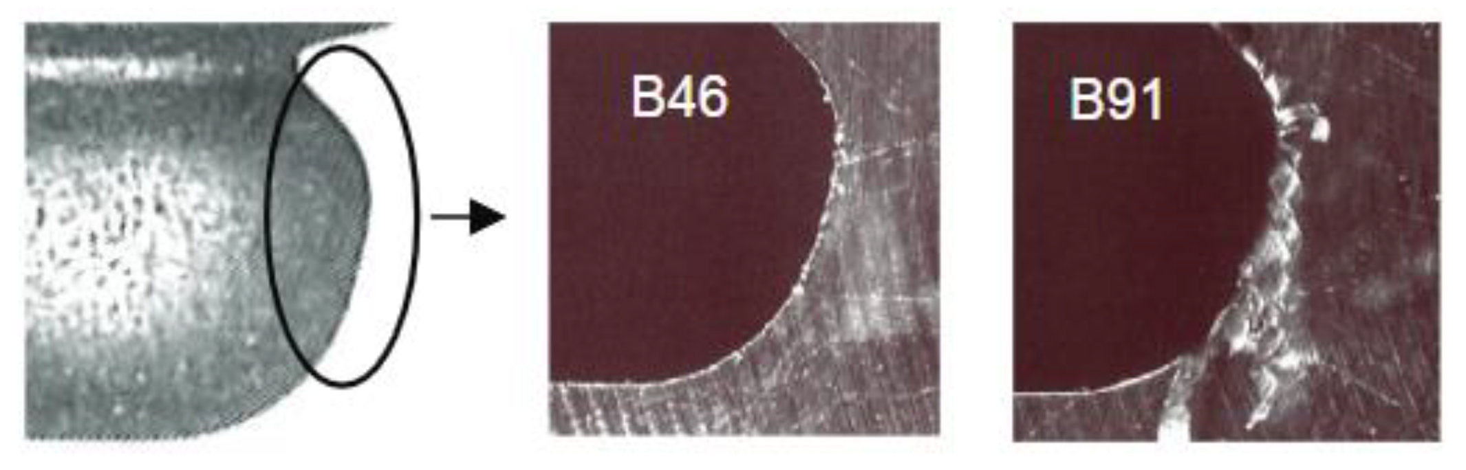 Materials 16 05143 g024