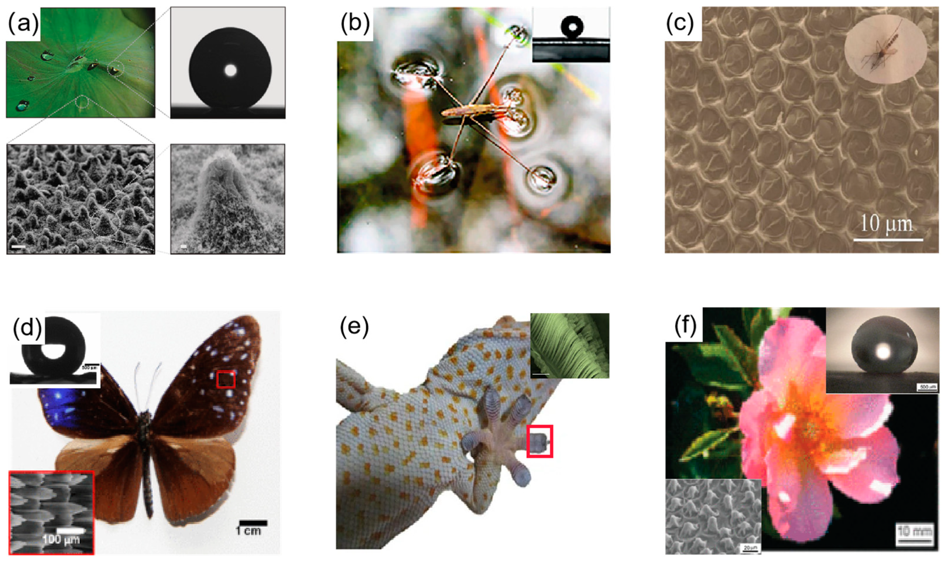 Materials 16 05151 g001 Materials 16 05151 g001