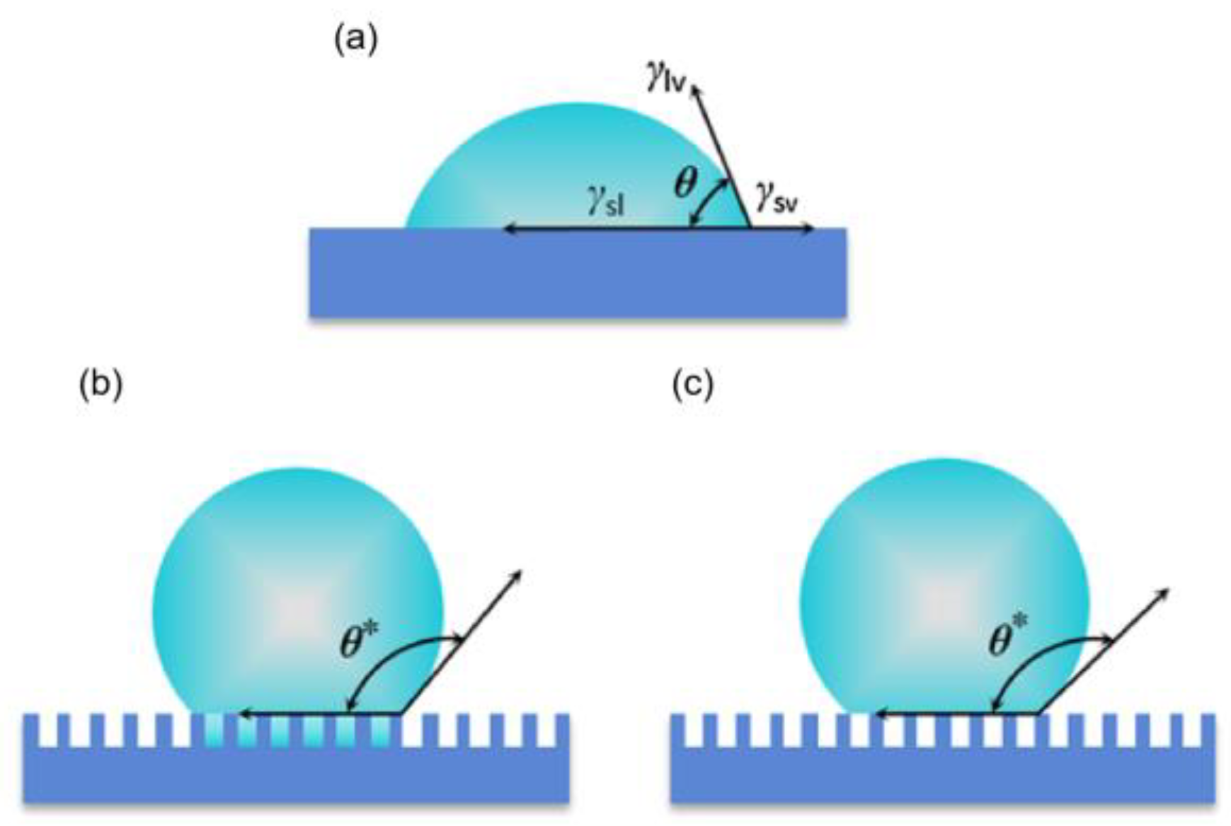 Materials 16 05151 g002 Materials 16 05151 g002