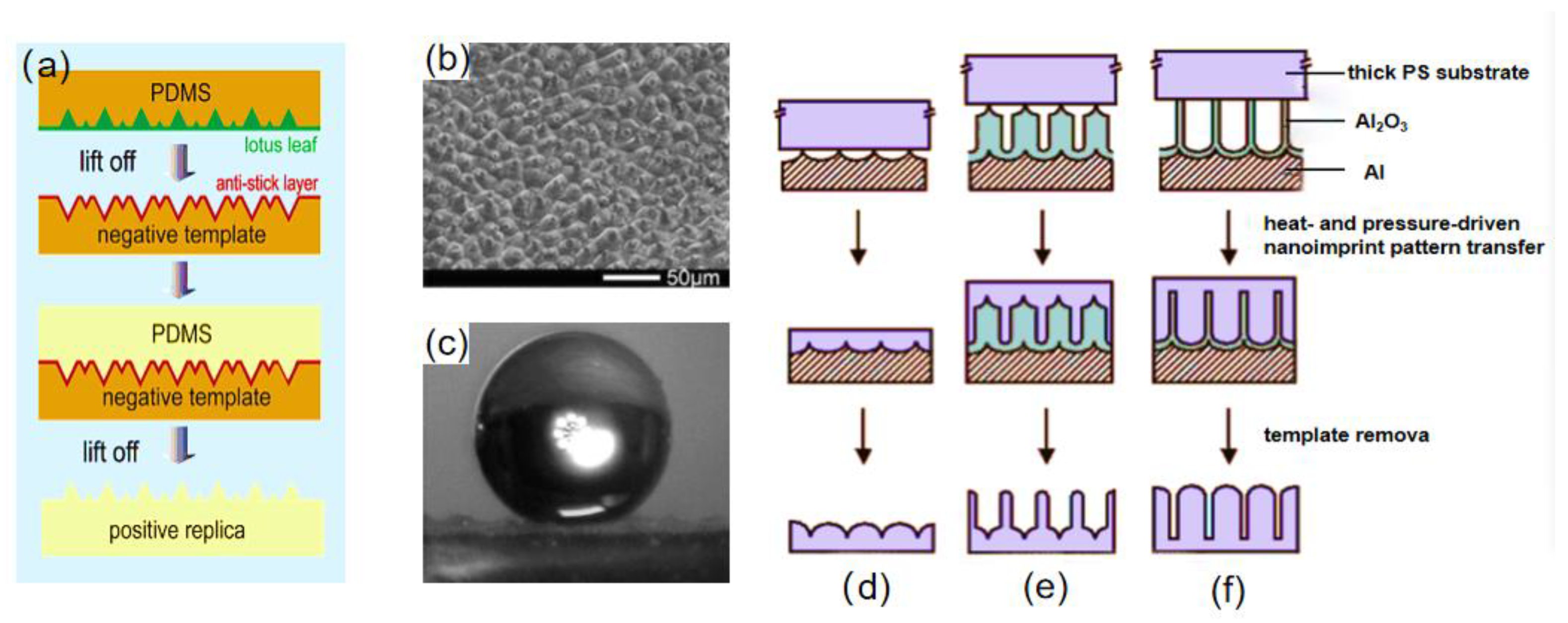 Materials 16 05151 g004 Materials 16 05151 g004
