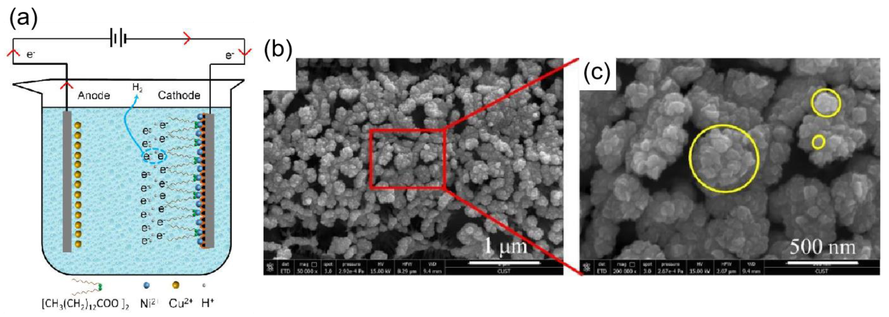 Materials 16 05151 g007 Materials 16 05151 g007