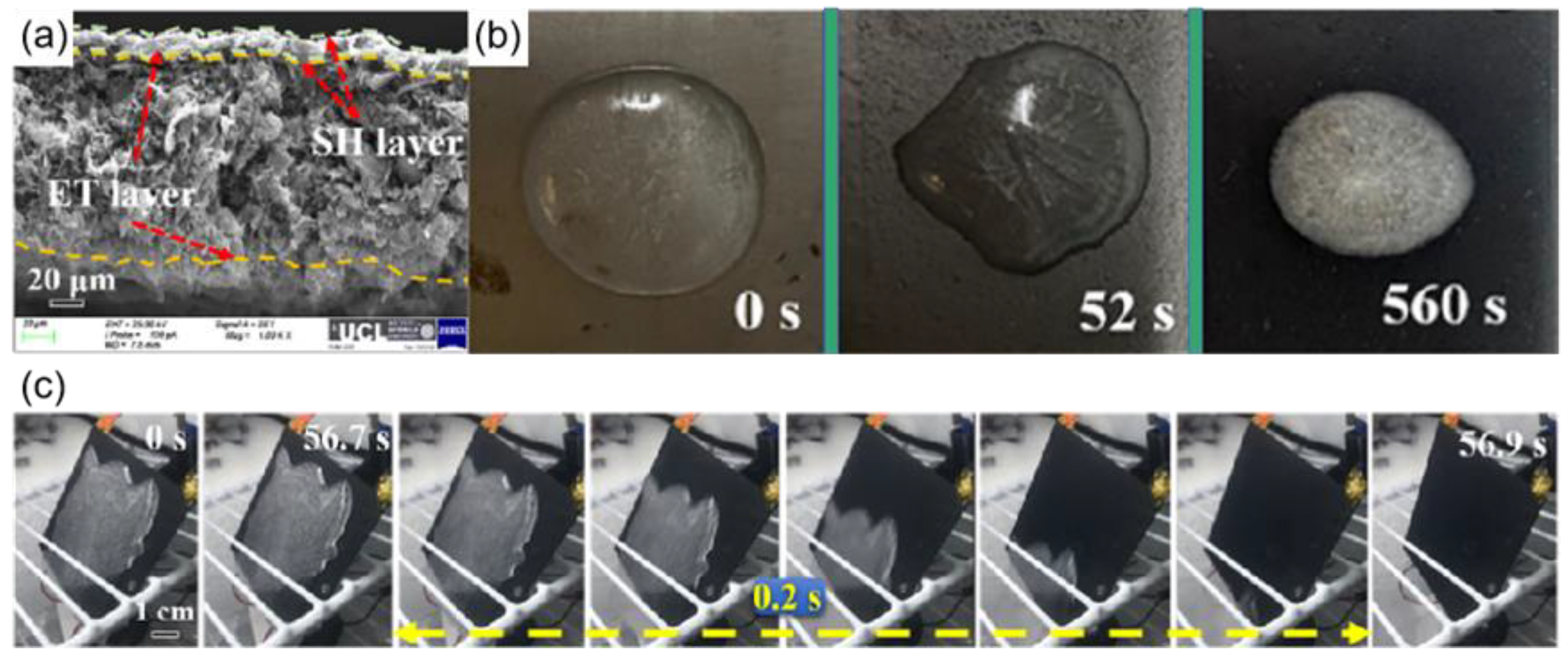 Materials 16 05151 g018 Materials 16 05151 g018