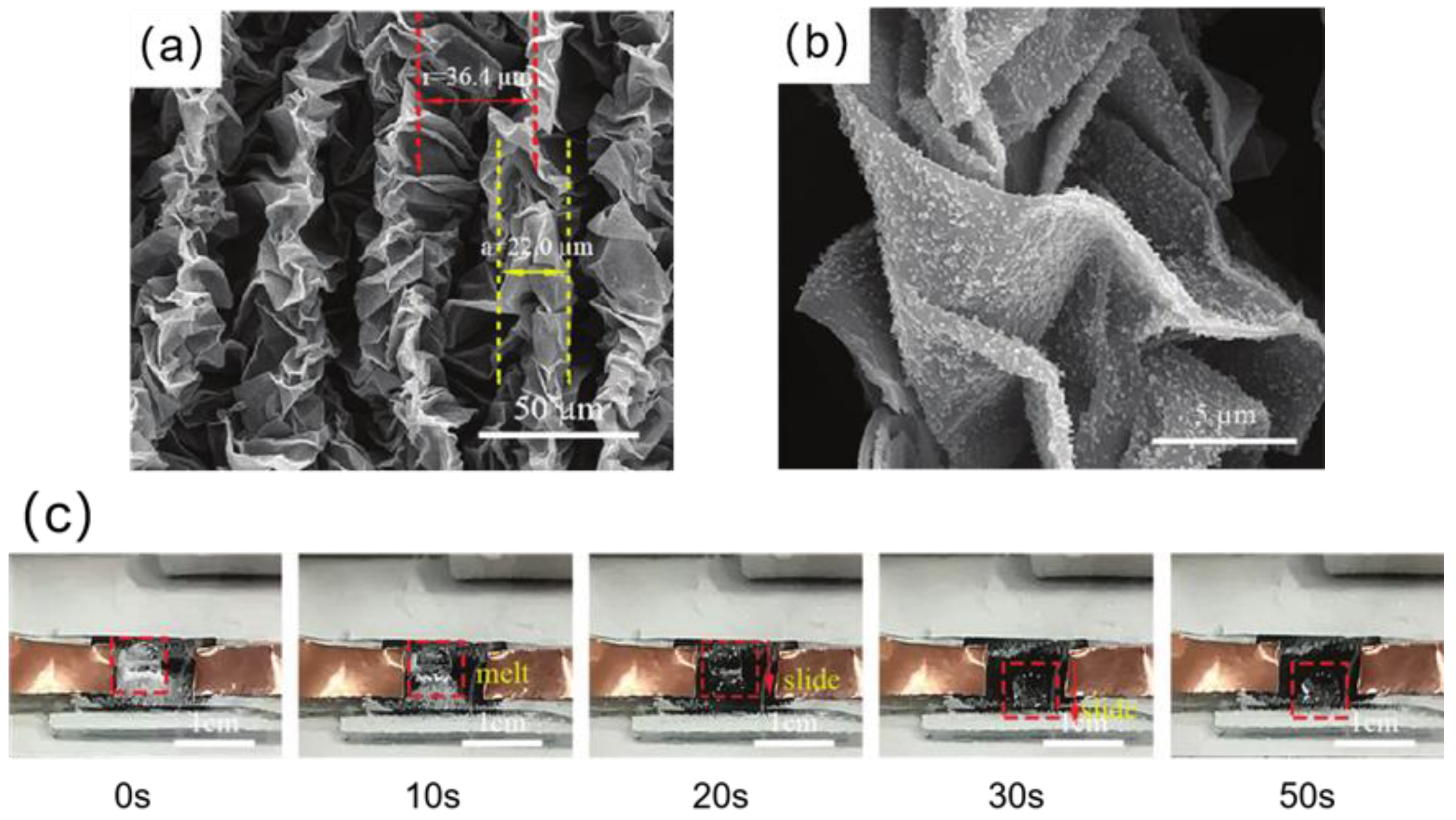 Materials 16 05151 g019 Materials 16 05151 g019