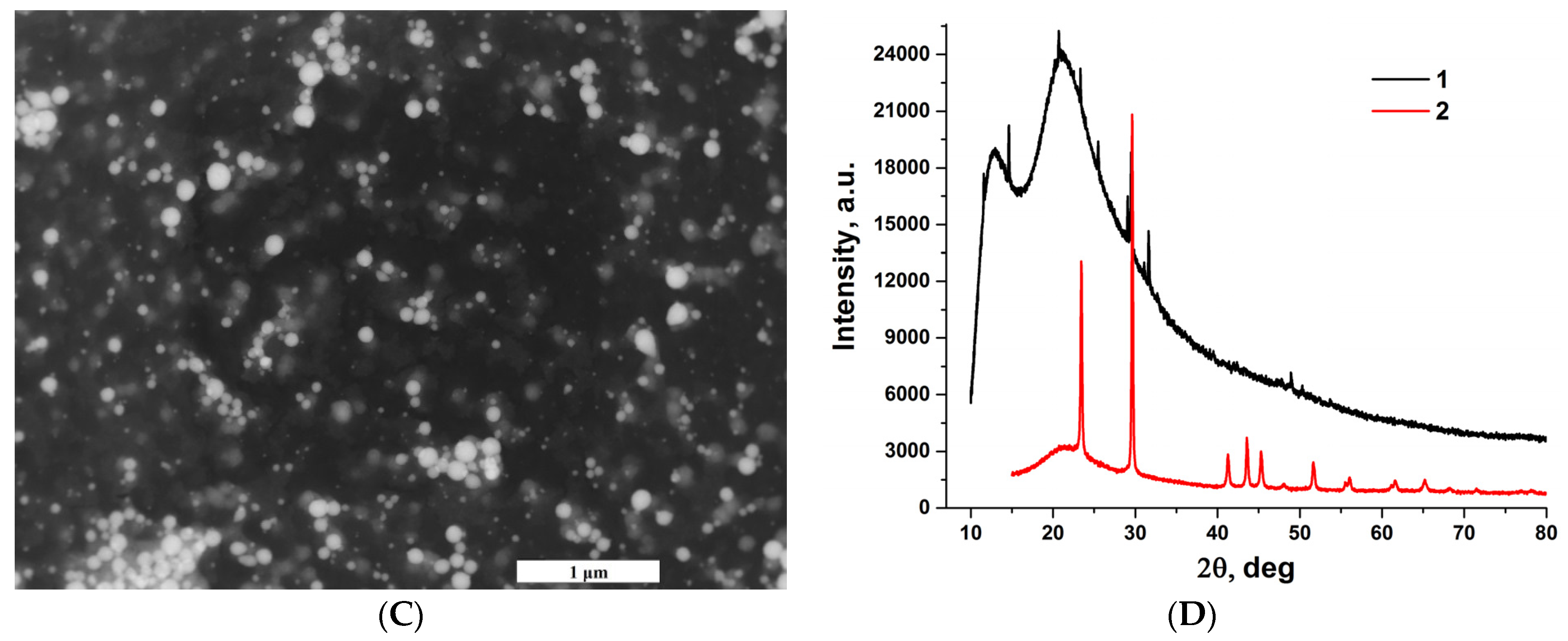 Materials 16 05164 g002b Materials 16 05164 g002b