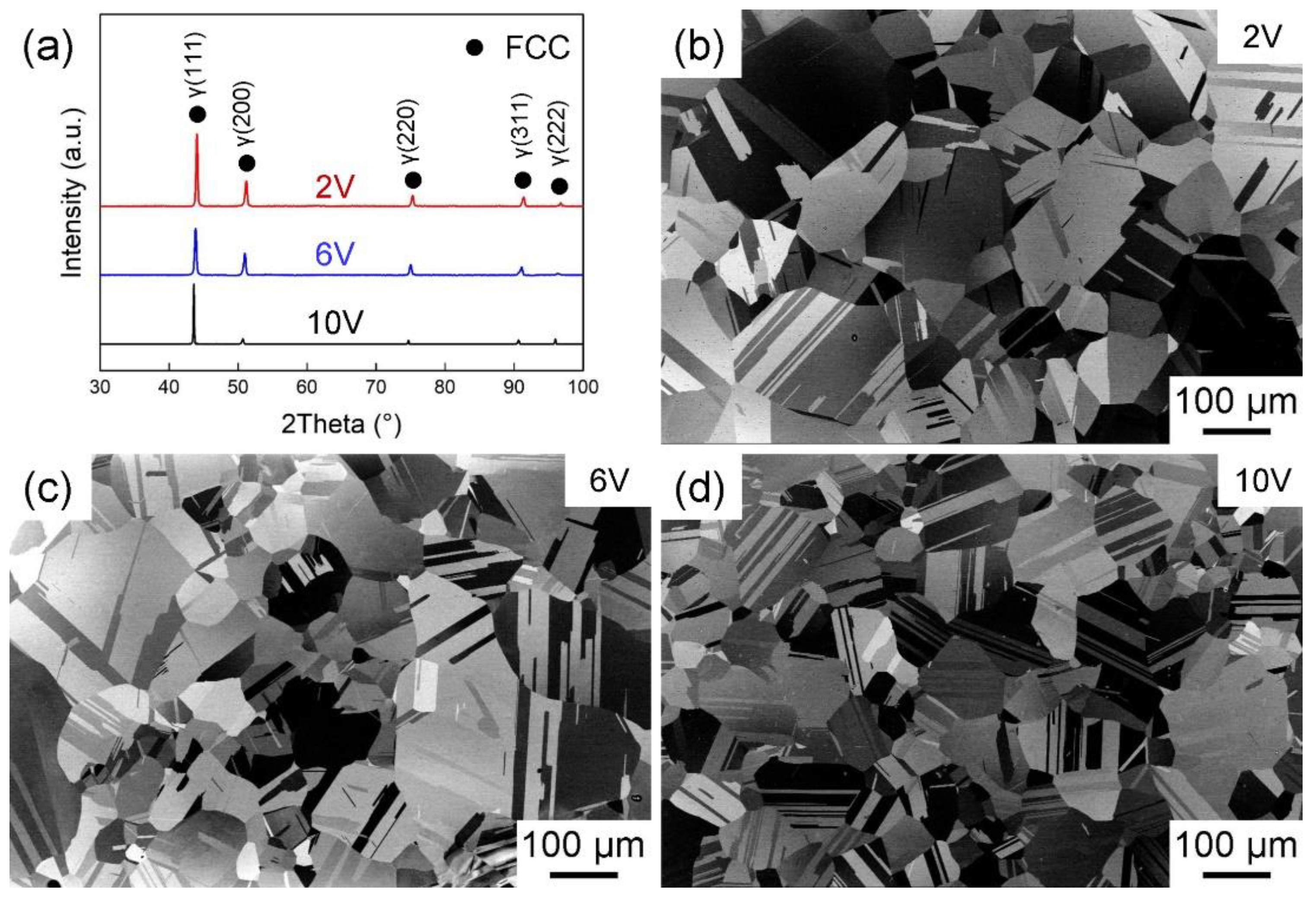 Materials 16 05167 g001