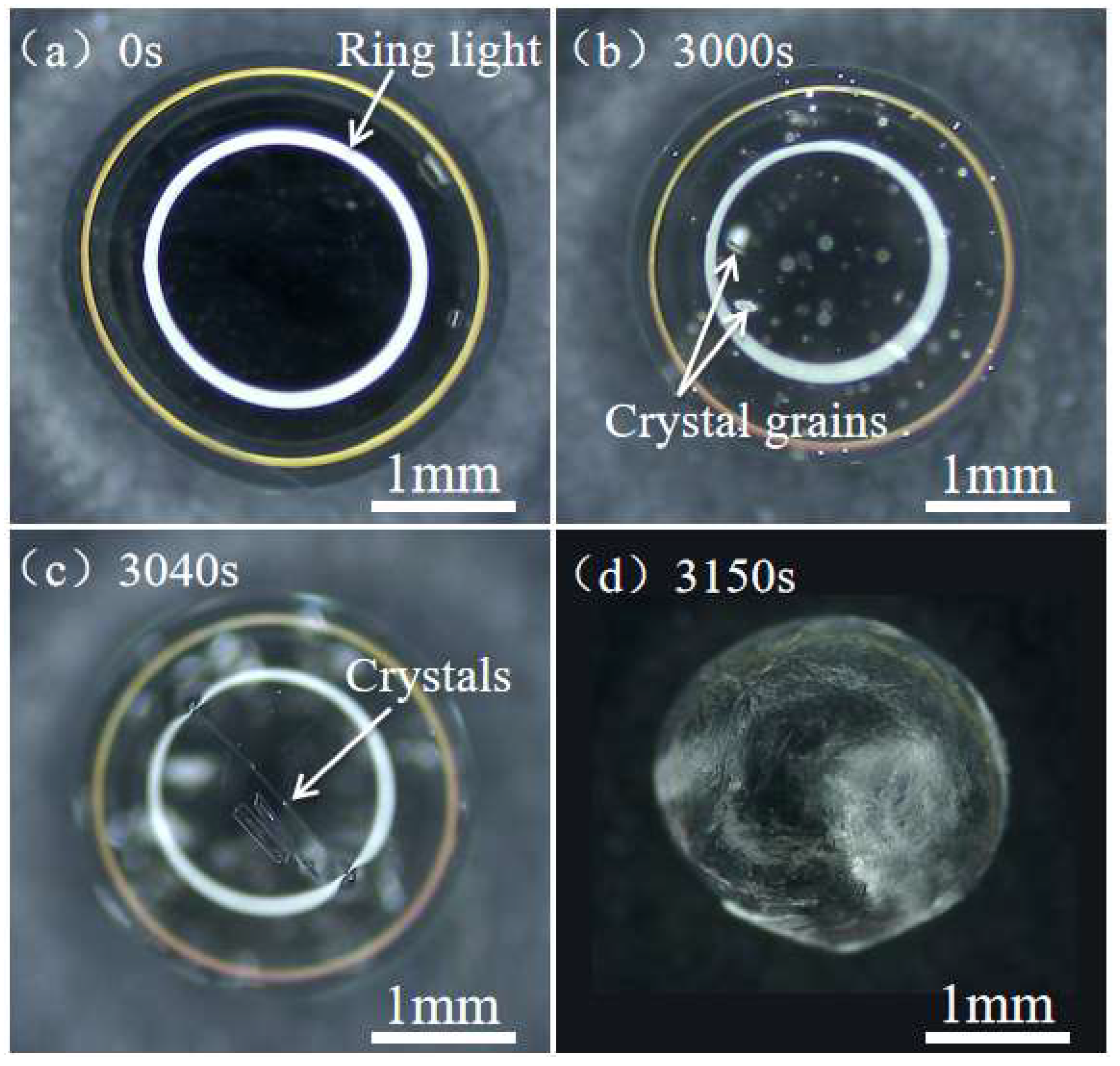 Materials 16 05168 g007 Materials 16 05168 g007