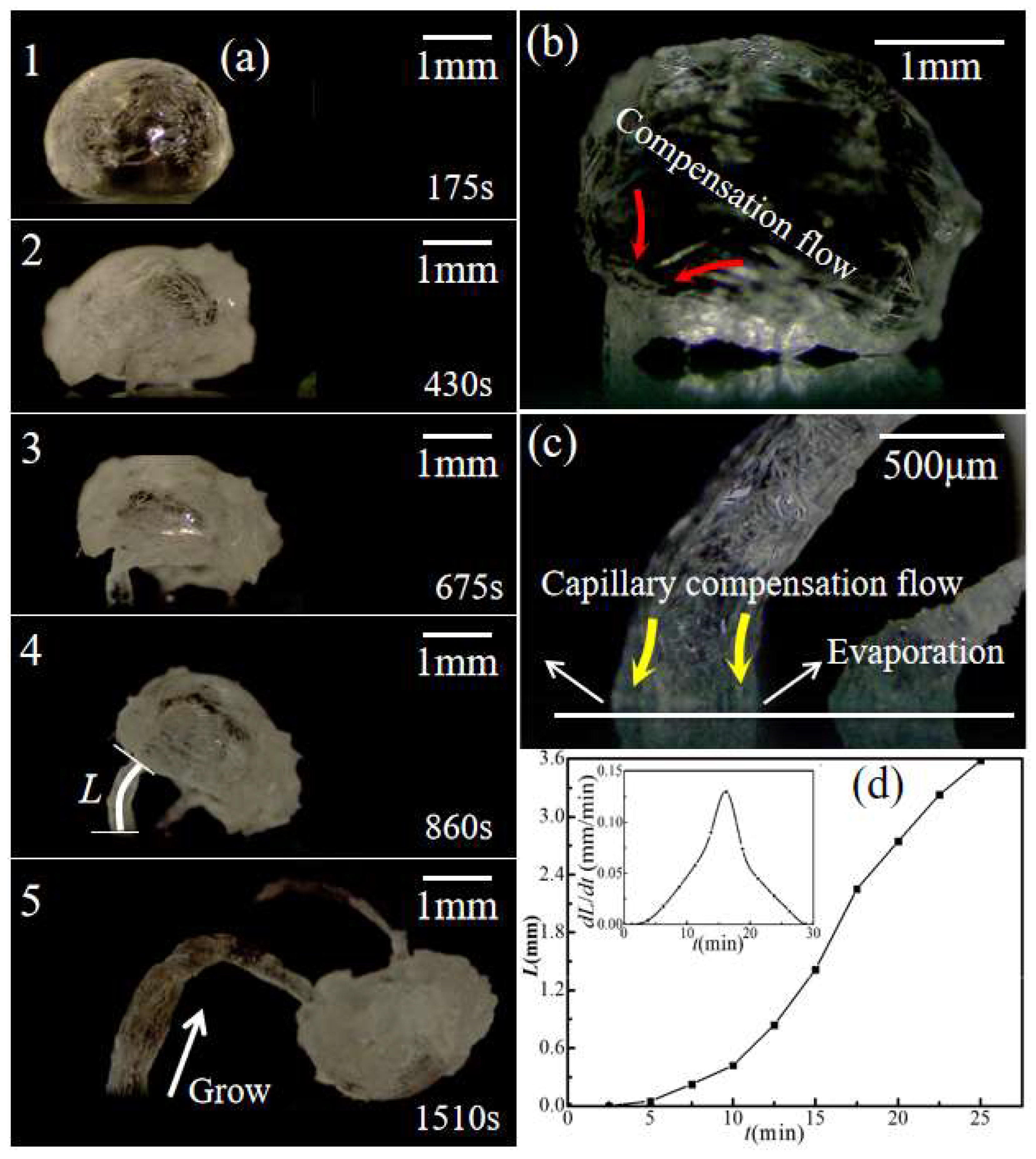 Materials 16 05168 g008 Materials 16 05168 g008