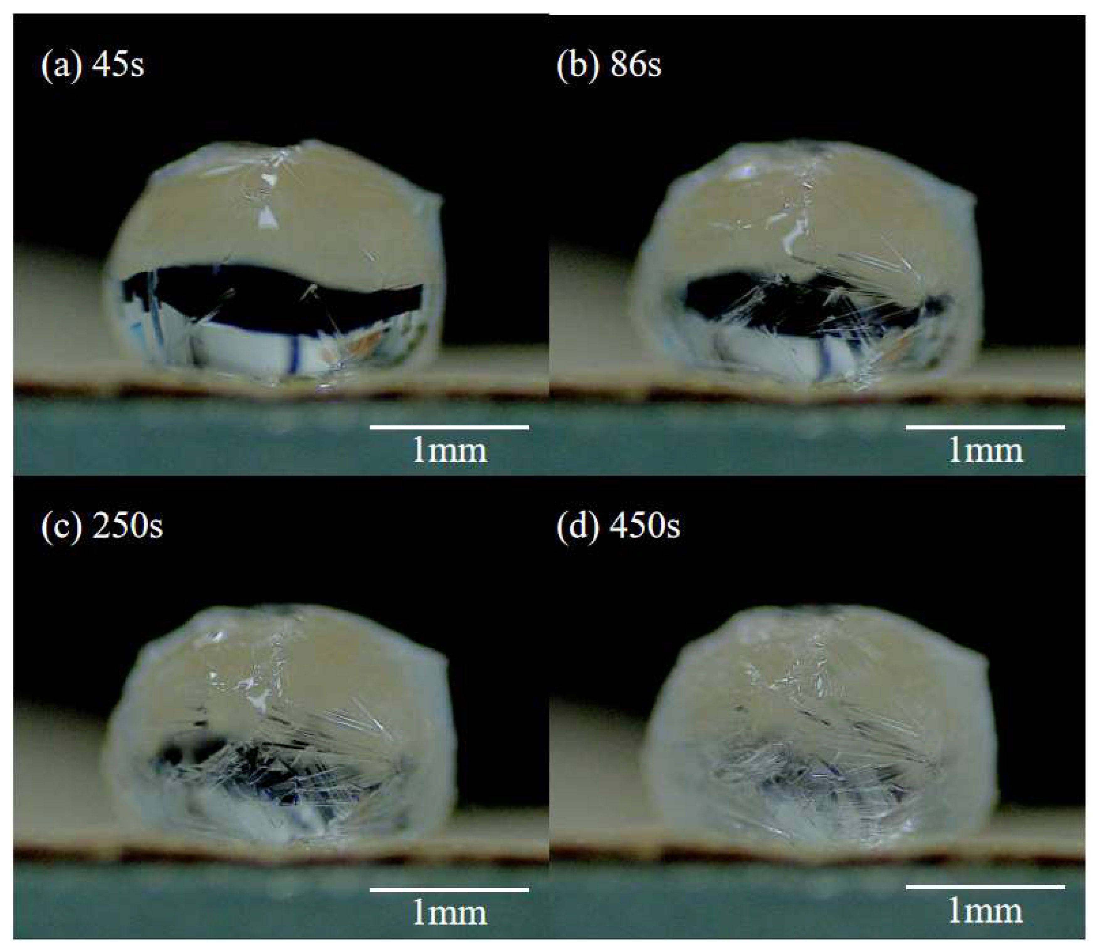 Materials 16 05168 g010 Materials 16 05168 g010