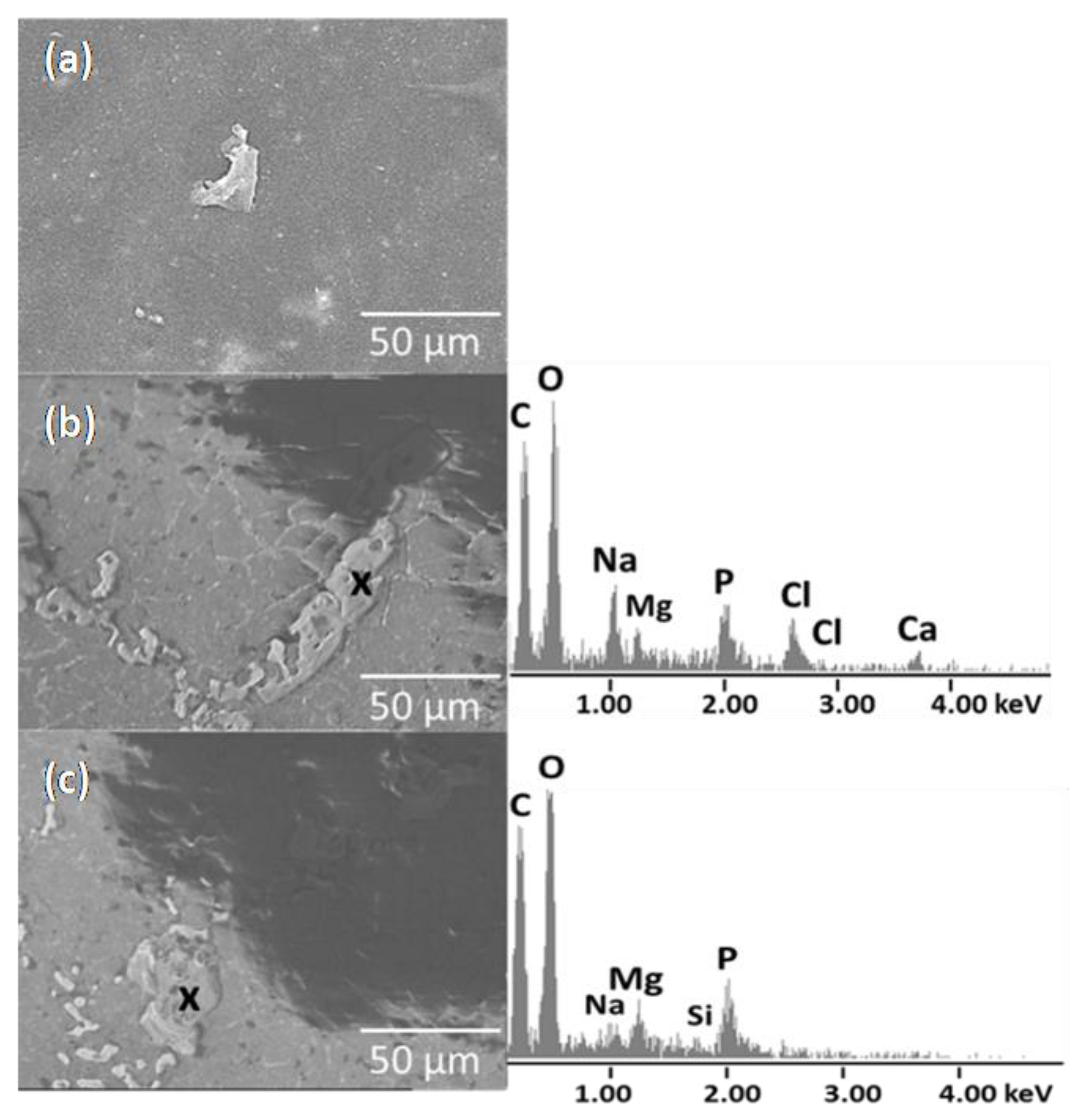 Materials 16 05179 g007 Materials 16 05179 g007