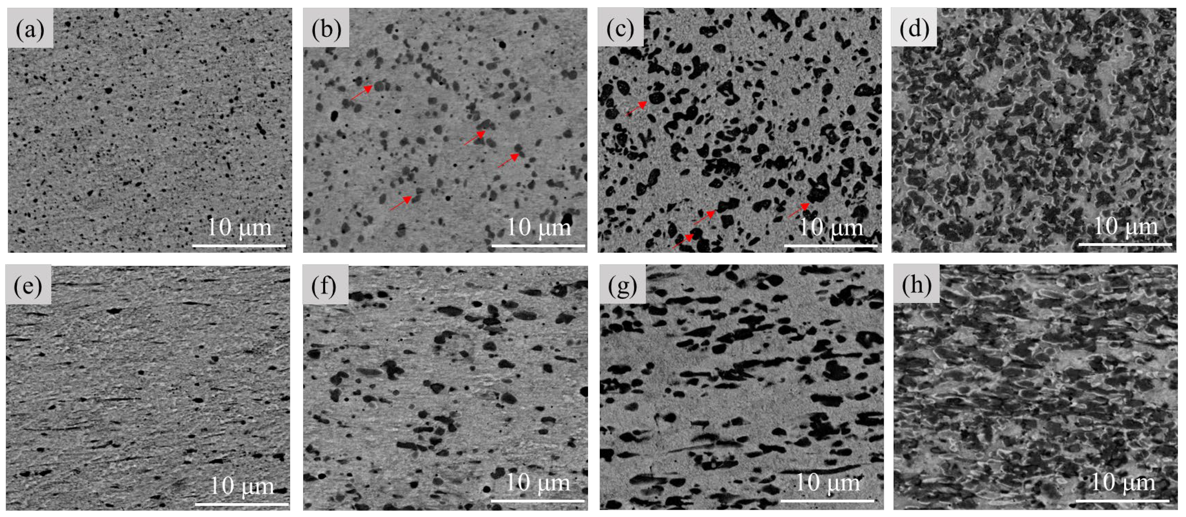 Materials 16 05180 g002