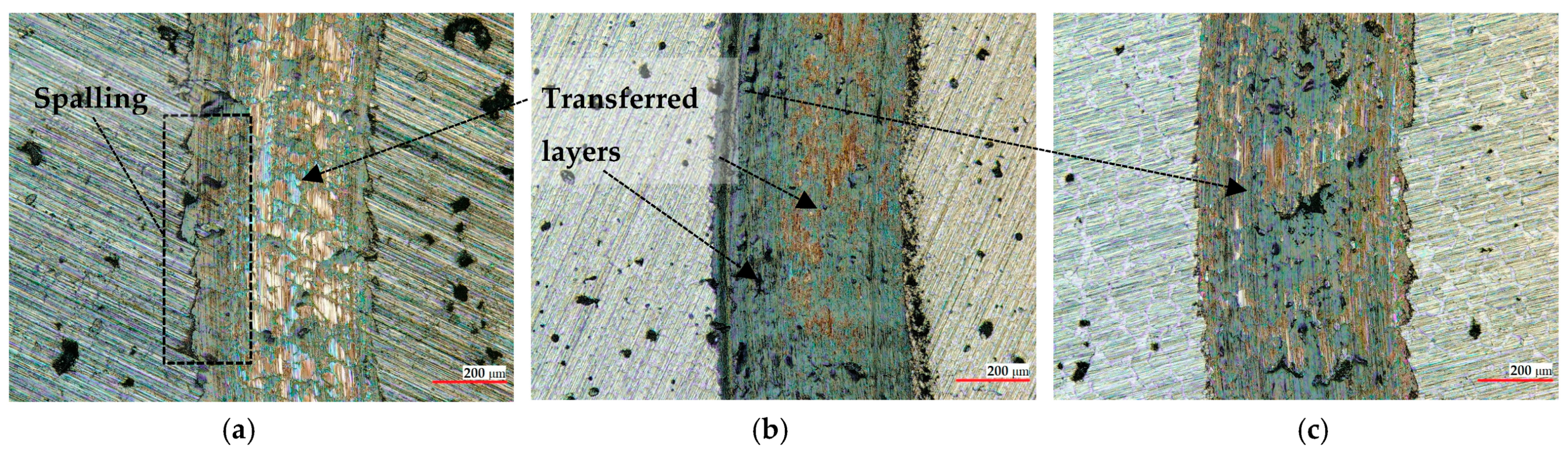 Materials 16 05183 g007 Materials 16 05183 g007