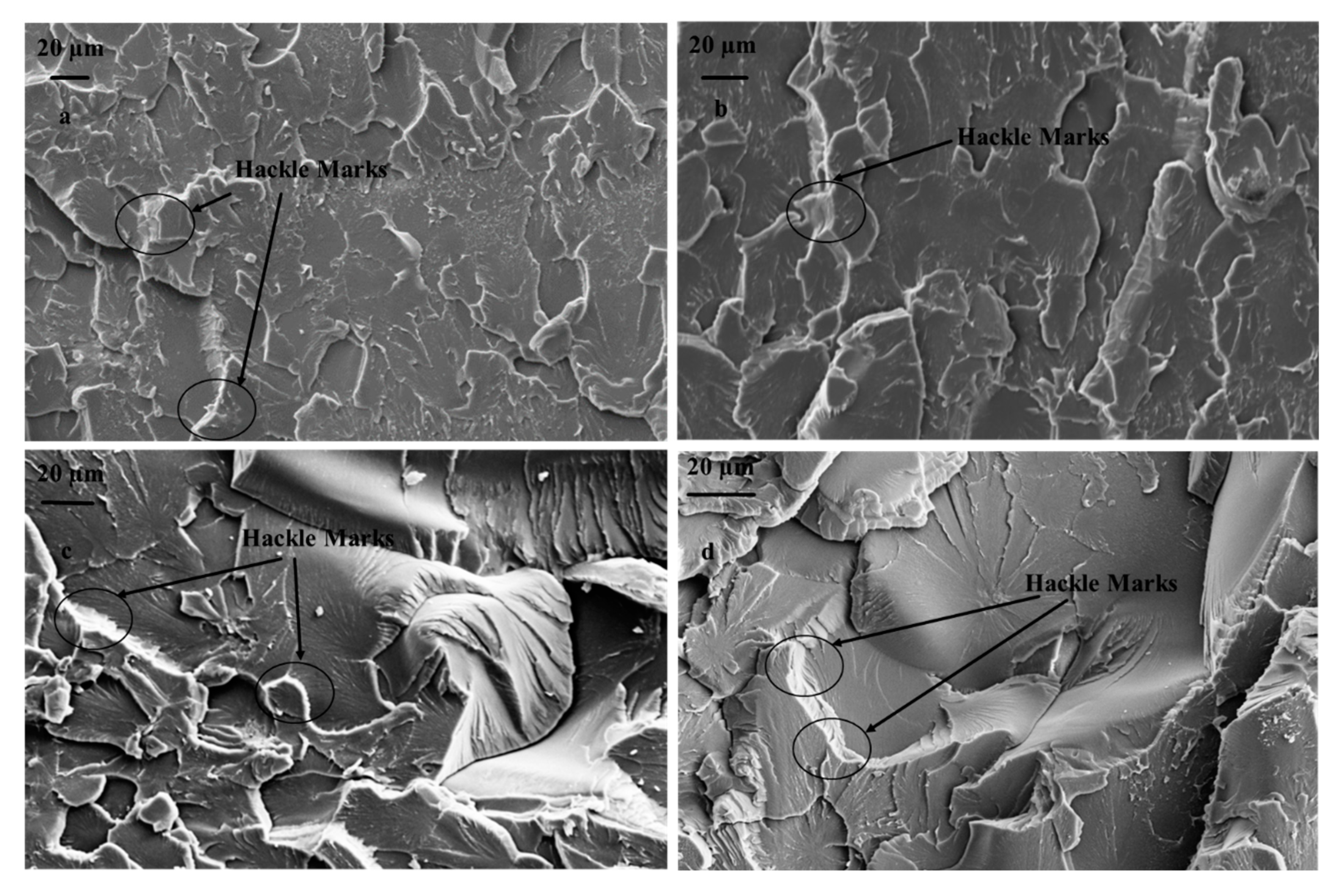 Materials 16 05191 g013