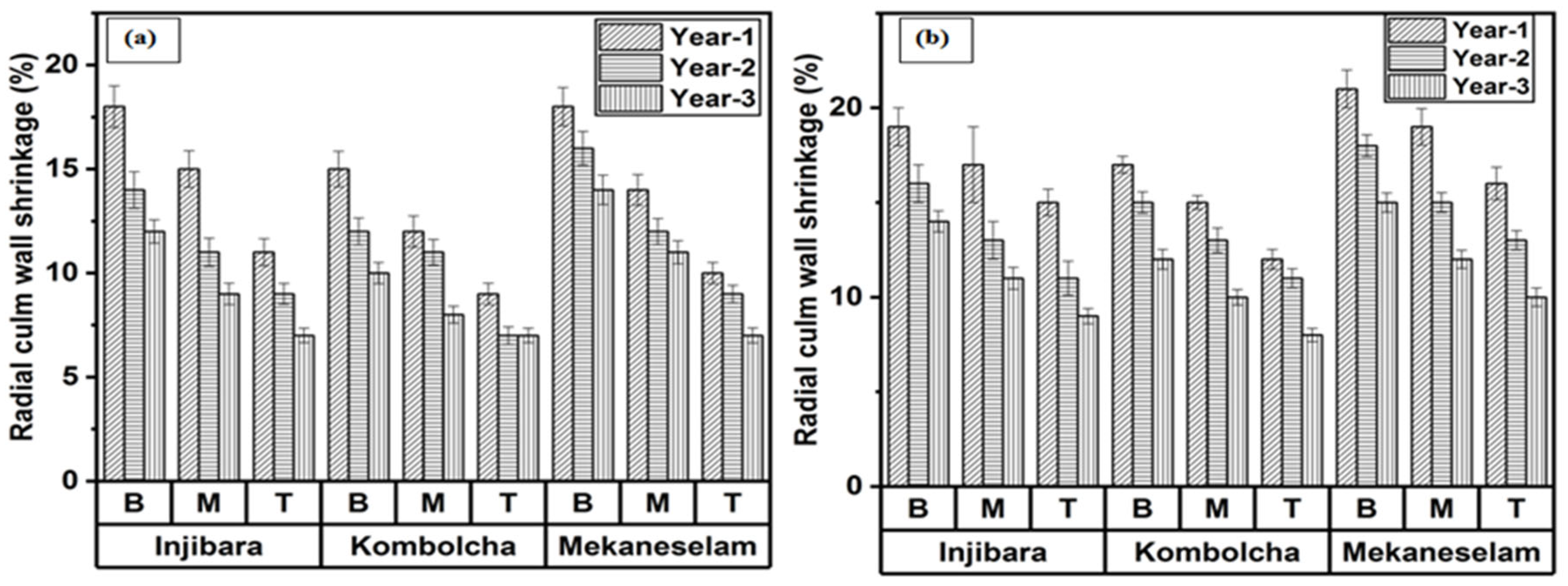 Materials 16 05196 g004 Materials 16 05196 g004