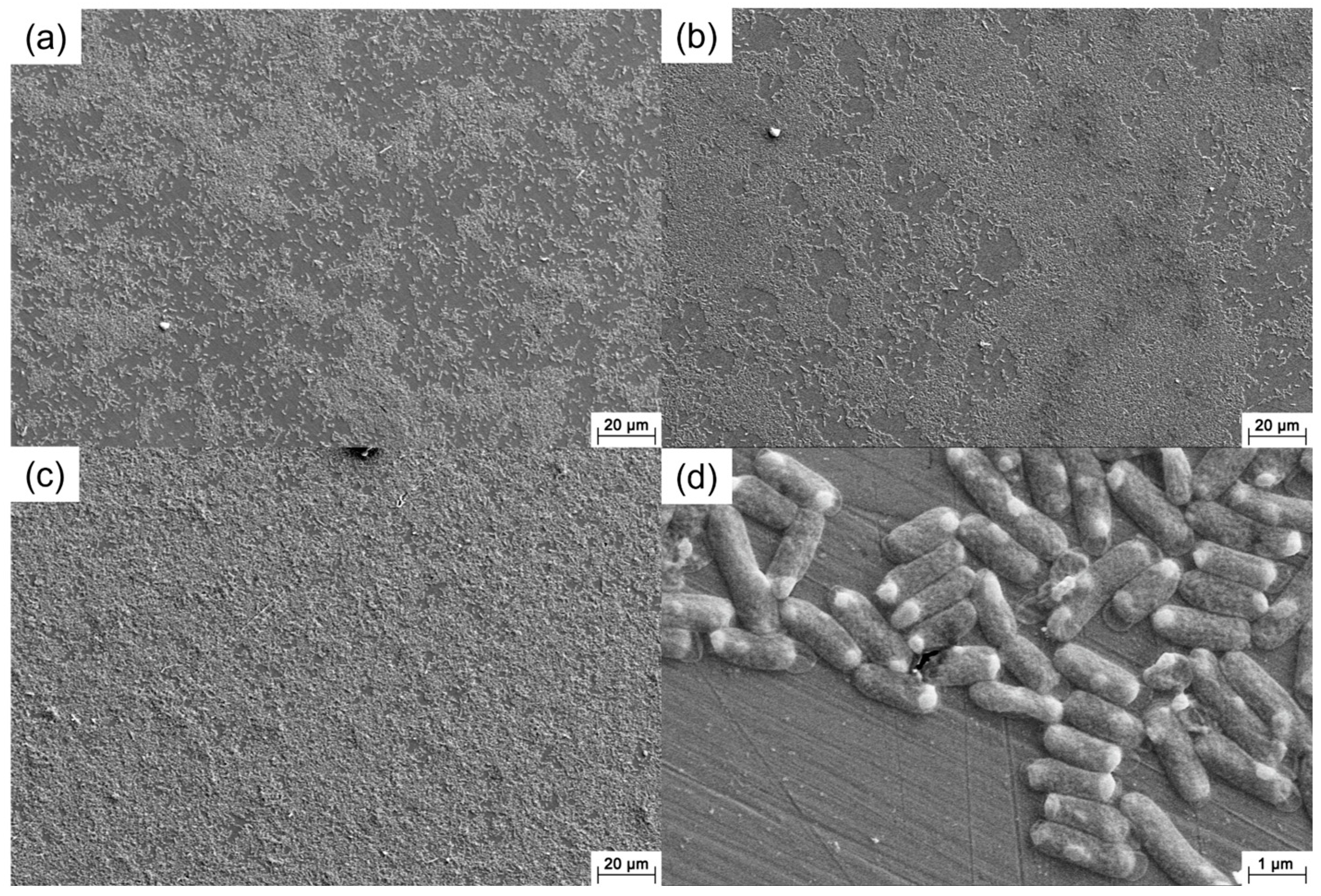 Materials 16 05209 g009 Materials 16 05209 g009