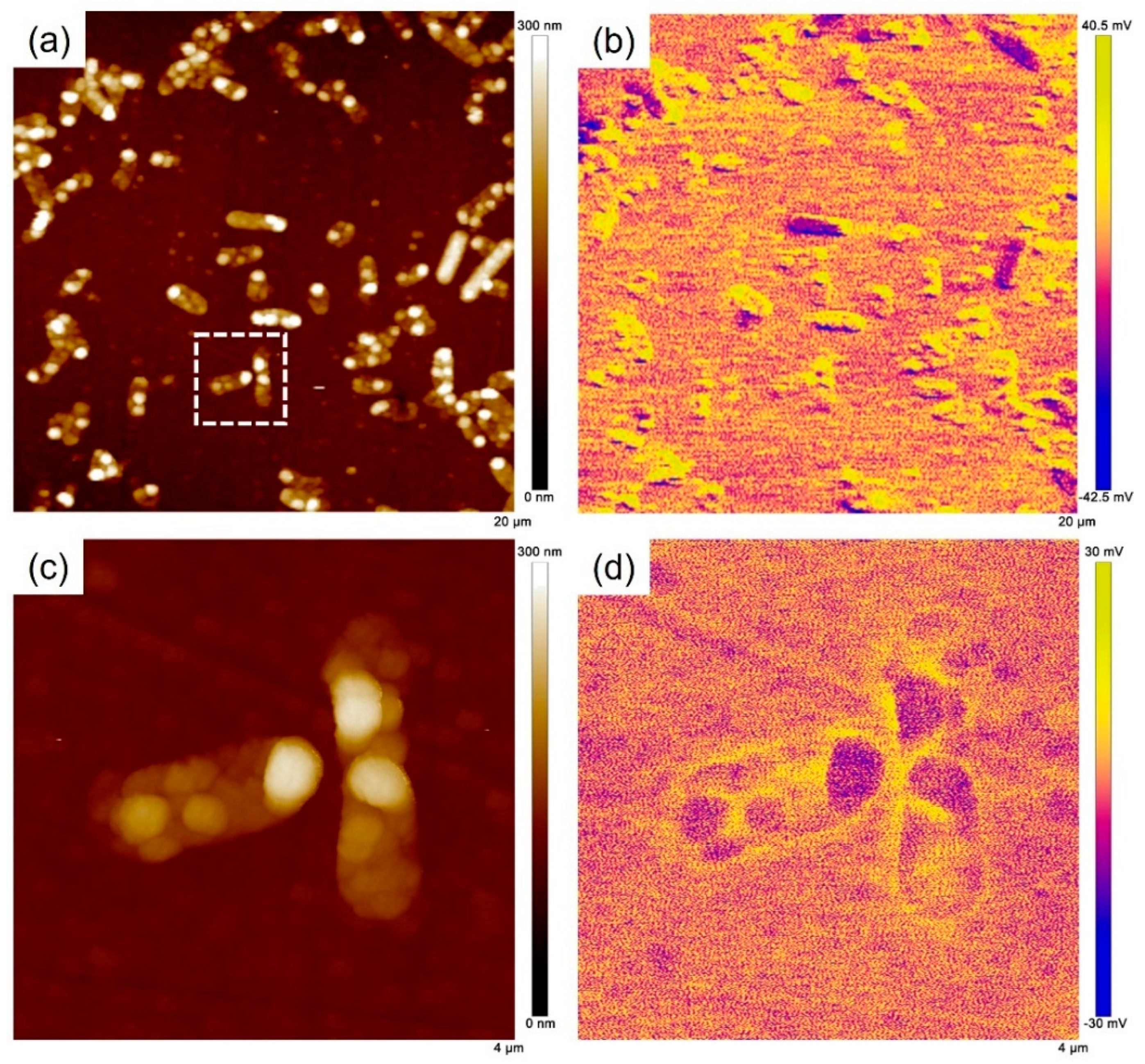 Materials 16 05209 g012 Materials 16 05209 g012