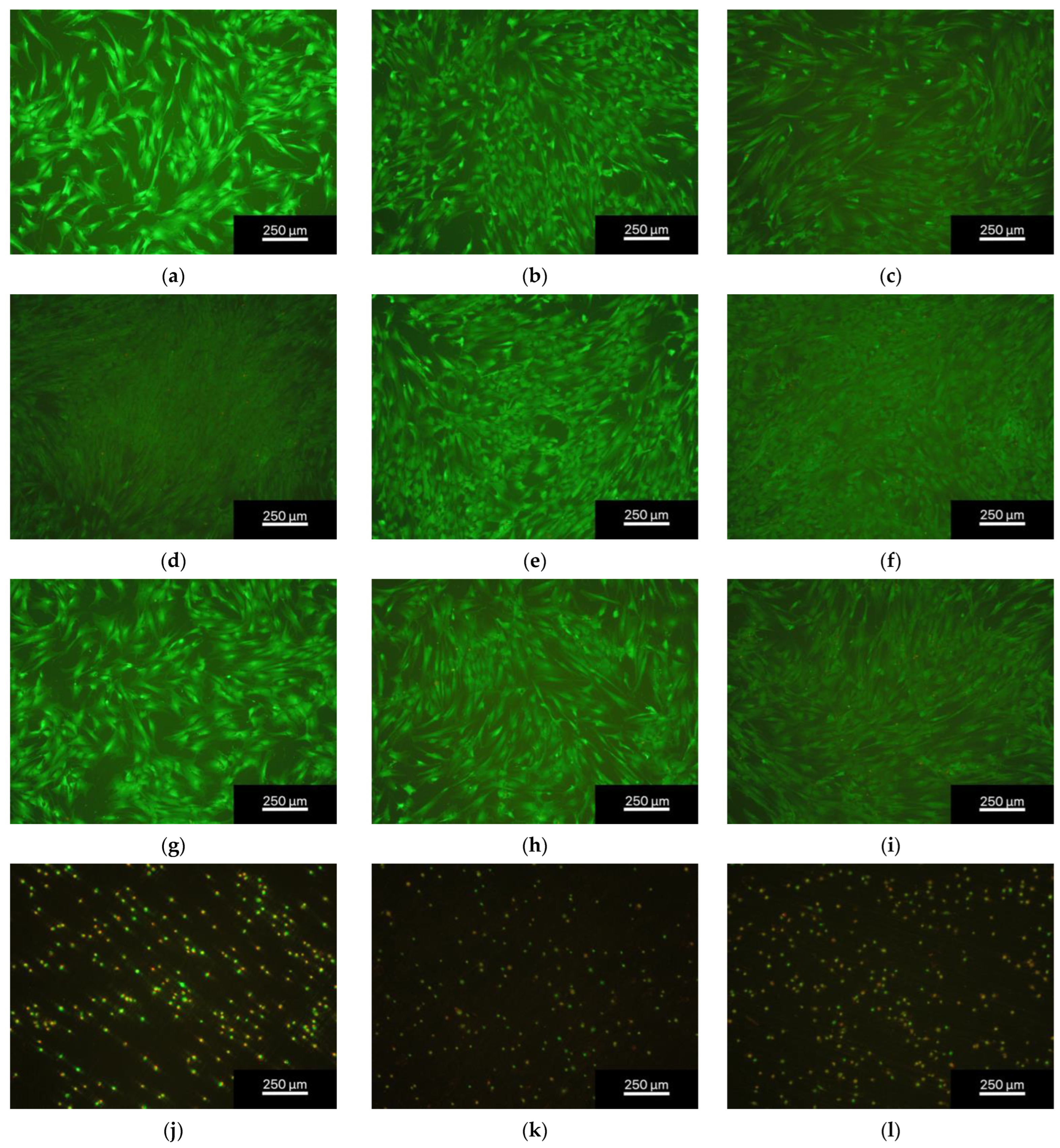 Materials 16 05224 g007 Materials 16 05224 g007