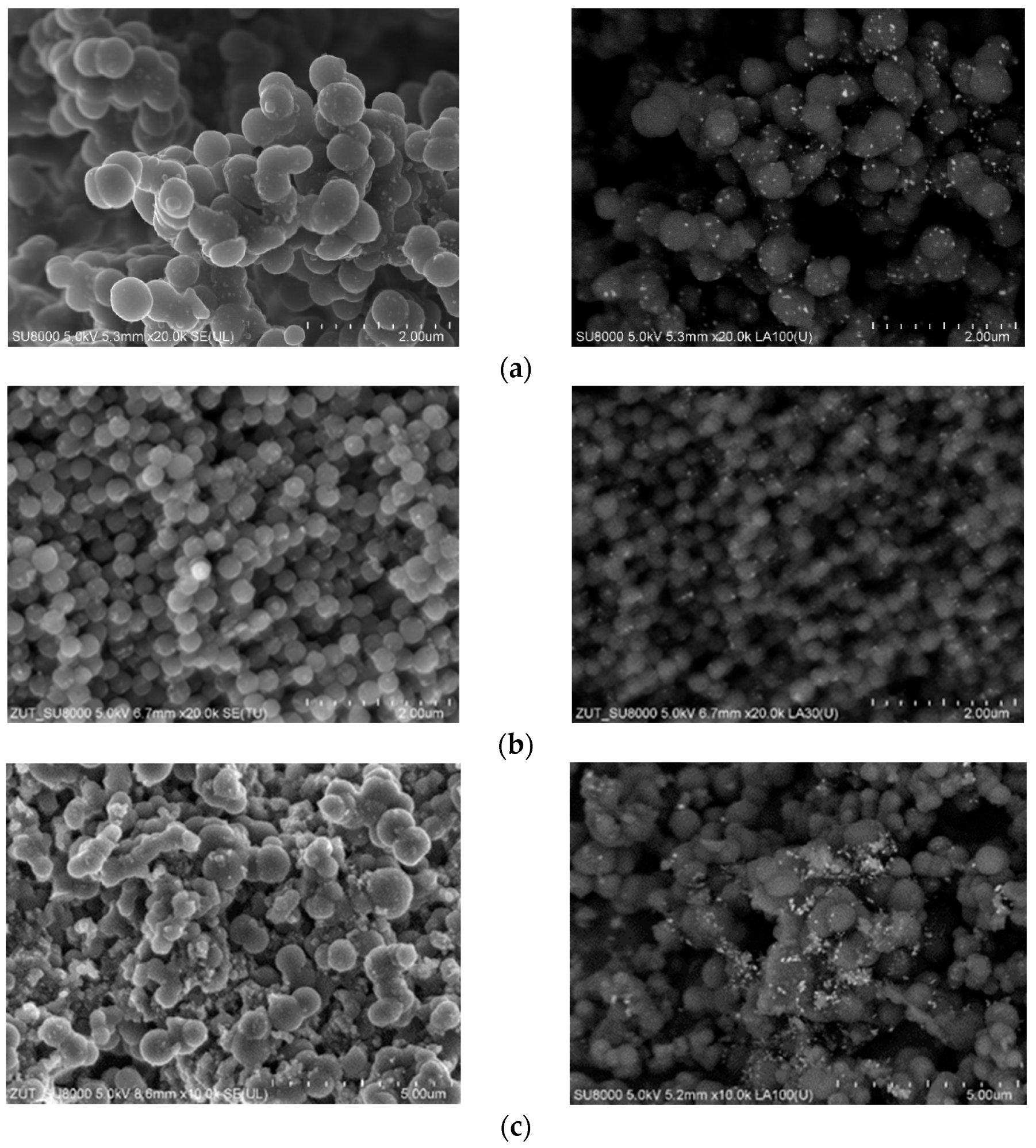 Materials 16 05227 g004a