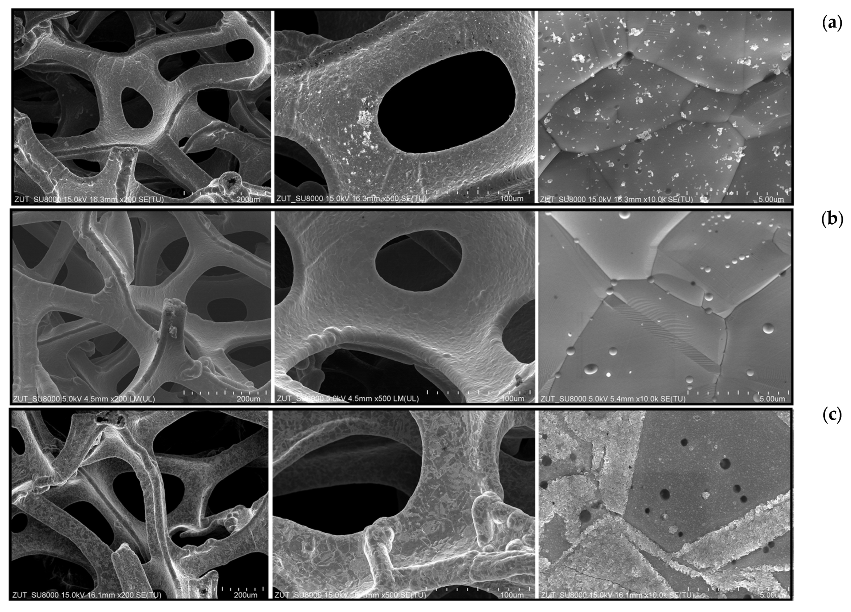 Materials 16 05241 g010