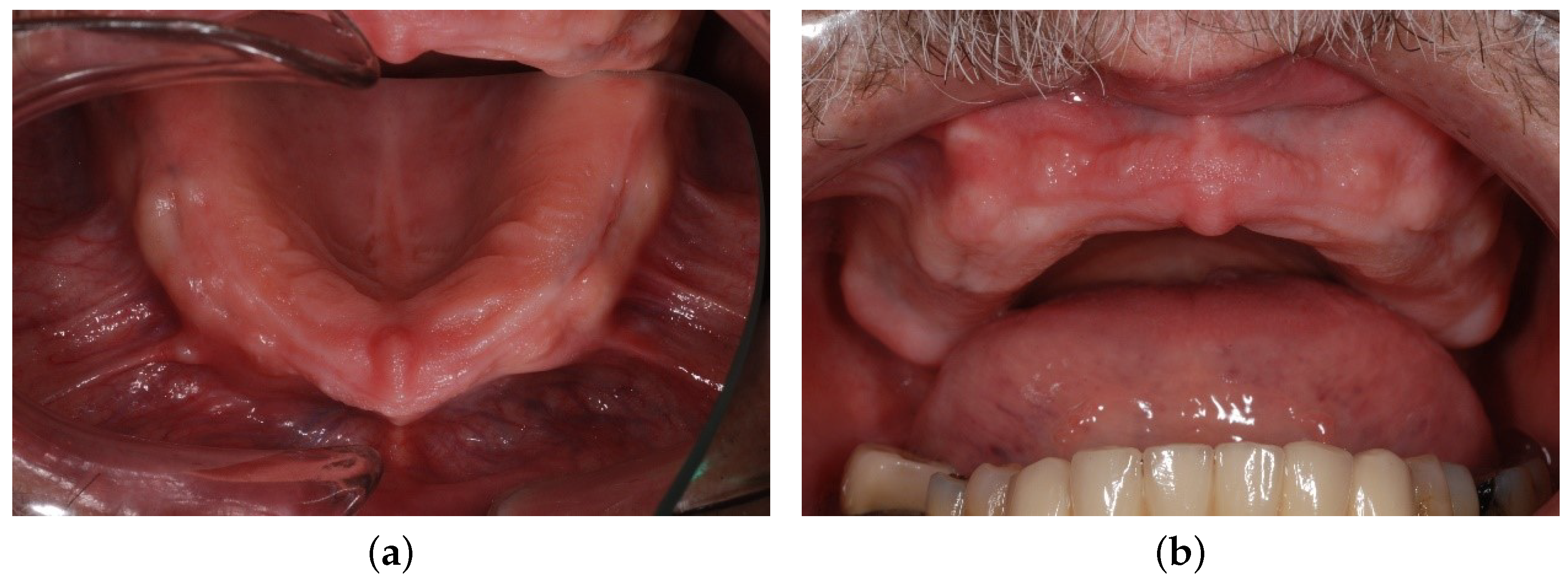 Materials 16 05248 g002