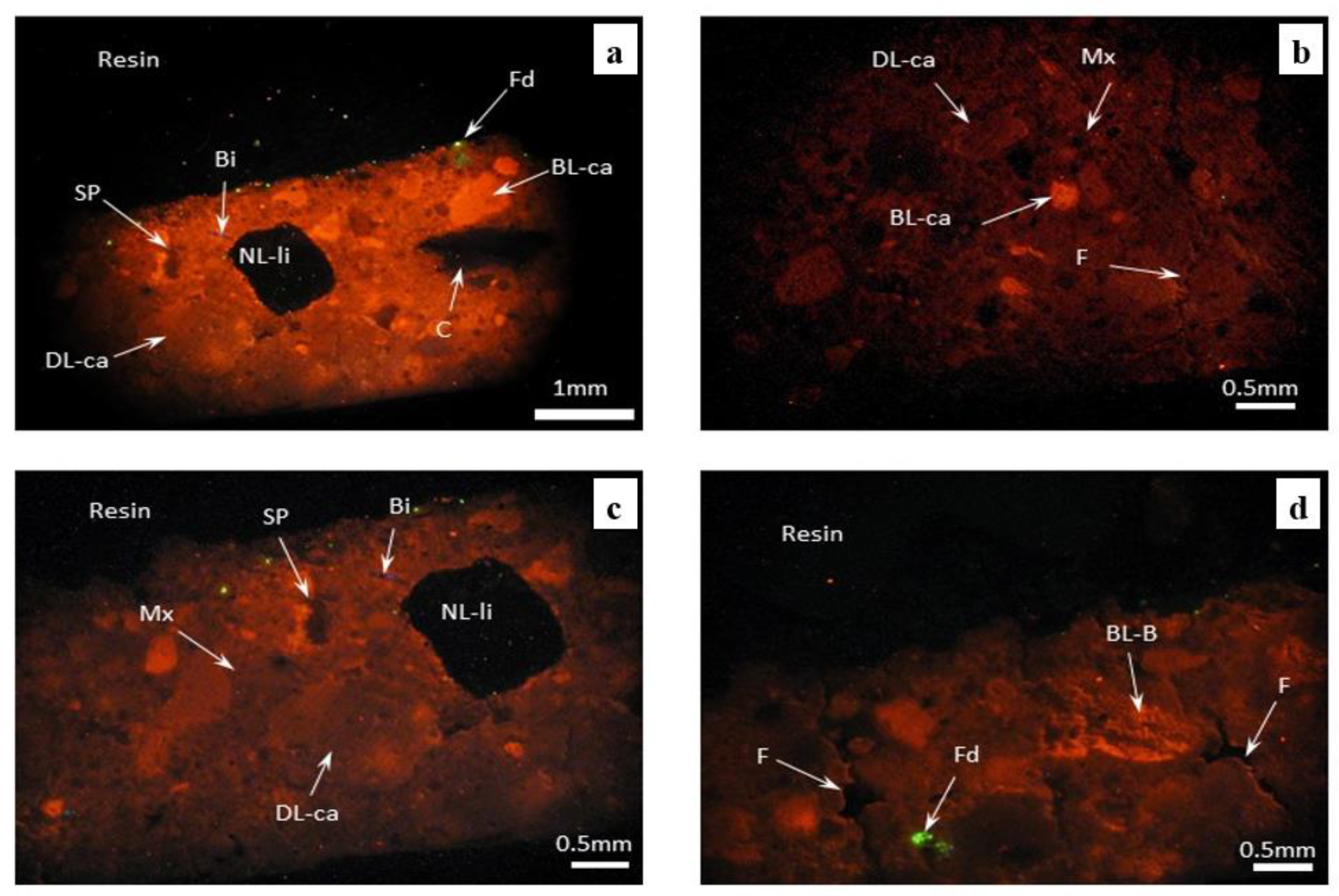 Materials 16 05257 g004 Materials 16 05257 g004