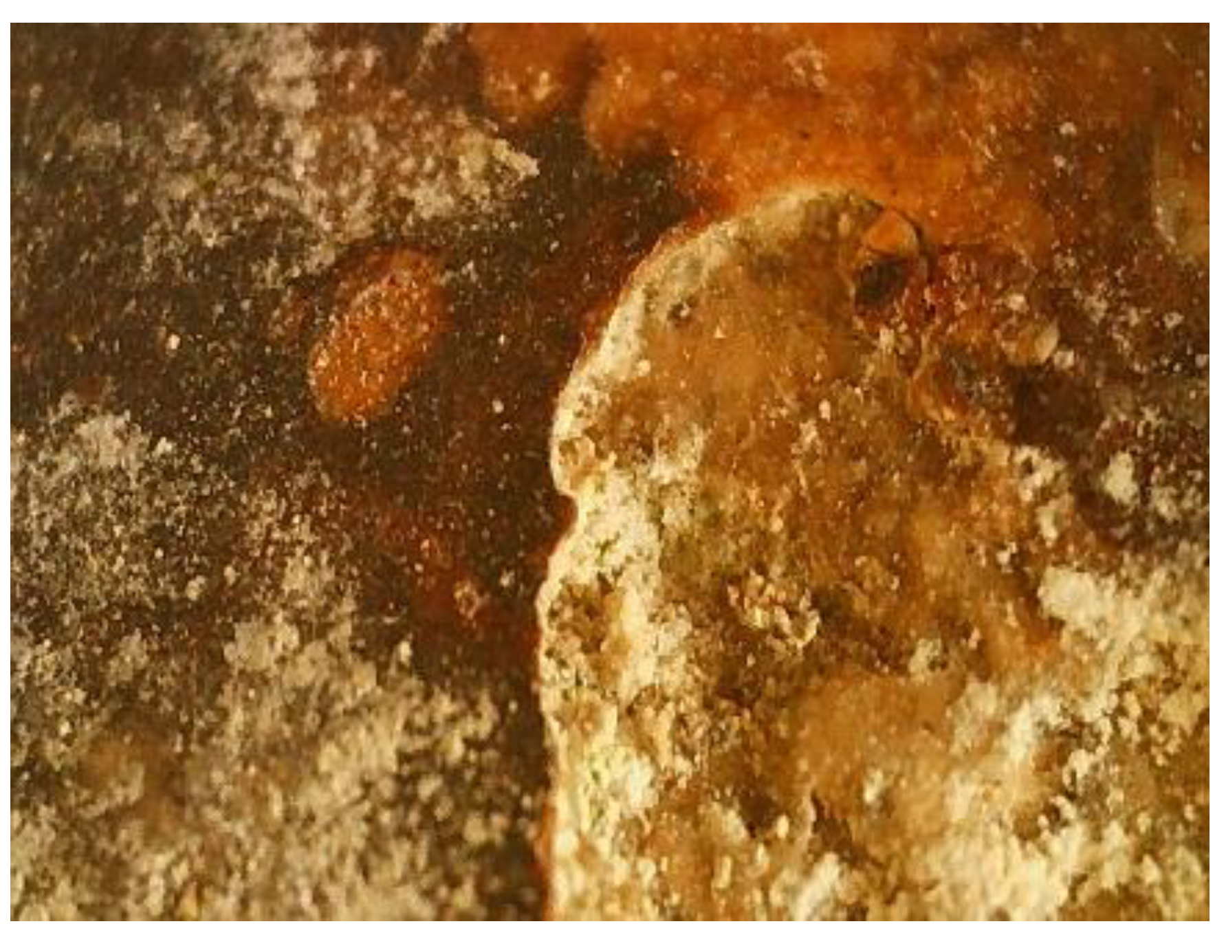 Materials 16 05257 g005 Materials 16 05257 g005