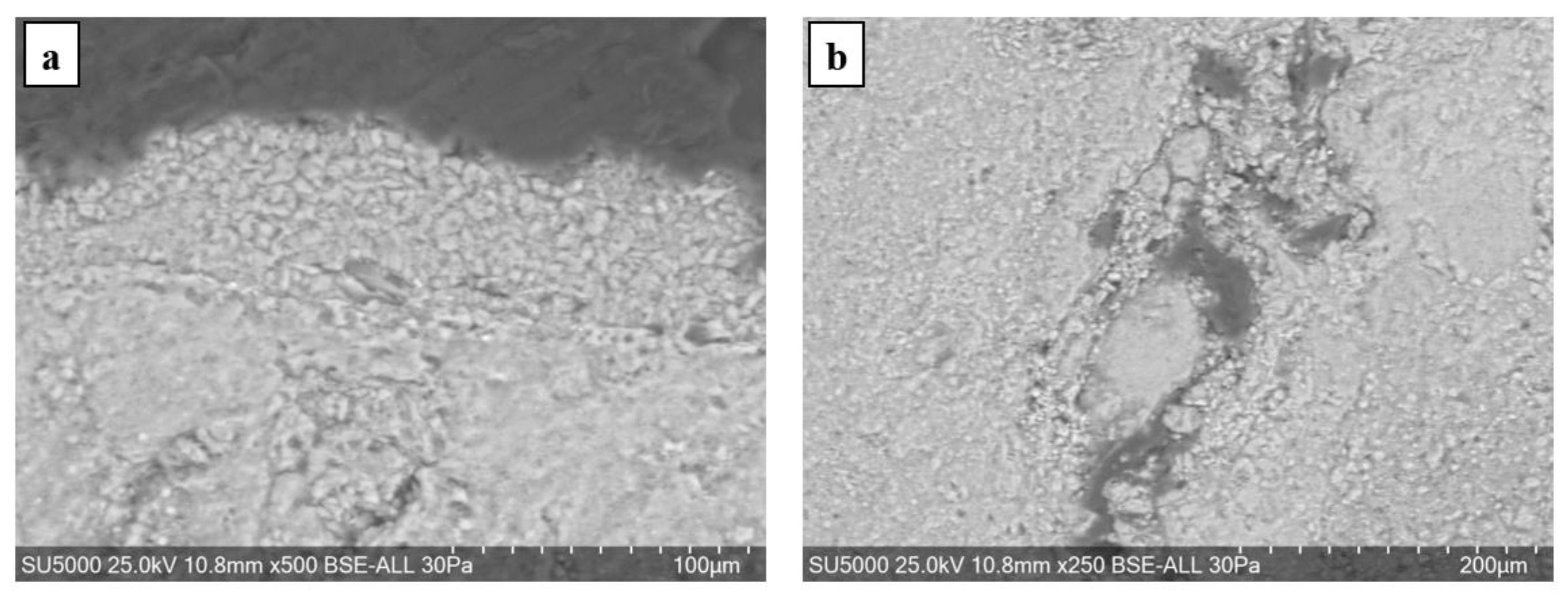Materials 16 05257 g007 Materials 16 05257 g007