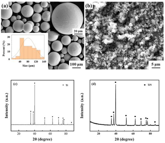 0 Study on the Preparation of Network Ti-N/Ti Composites by