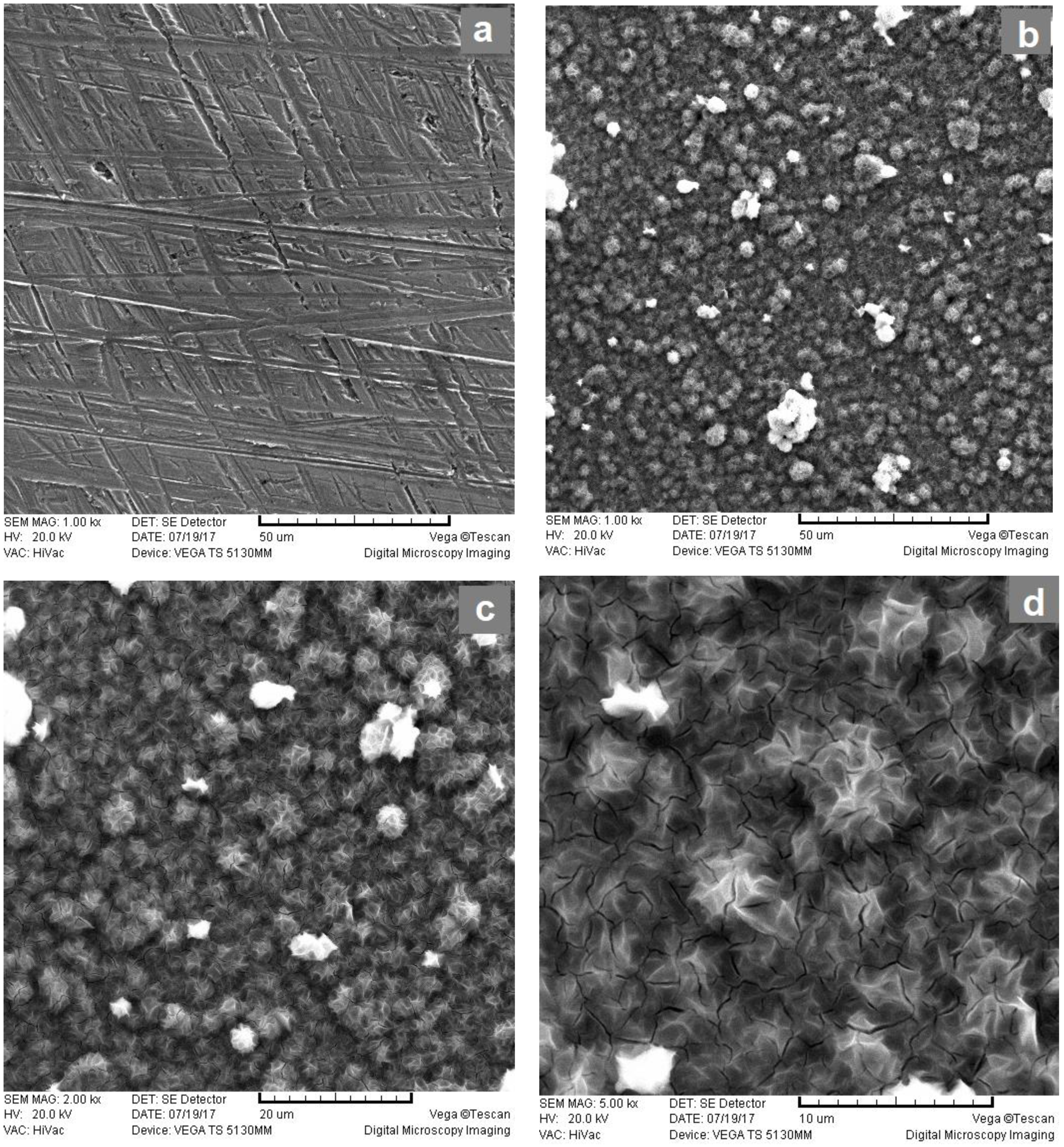 Materials 16 05268 g005