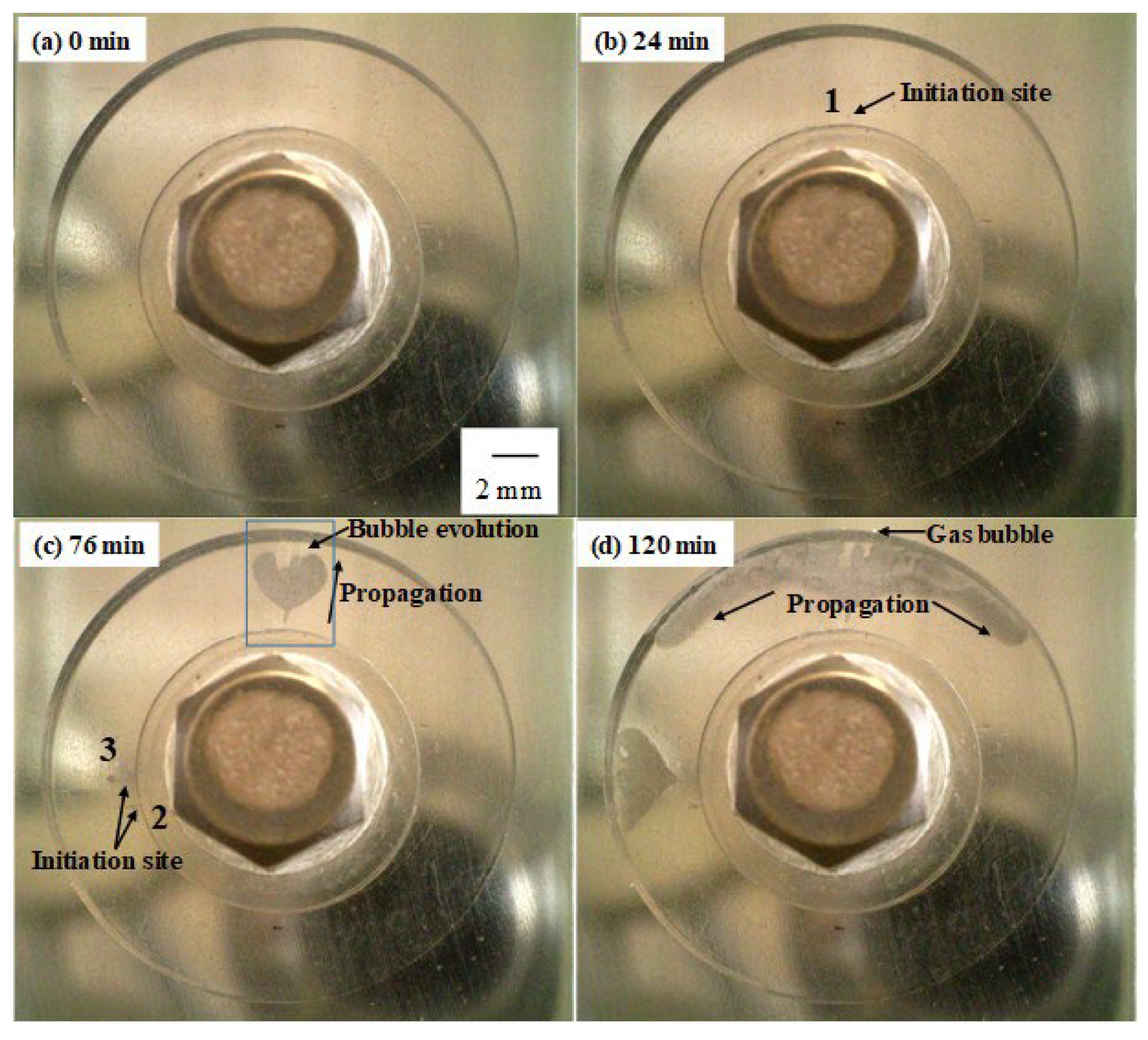 Materials 16 05300 g004