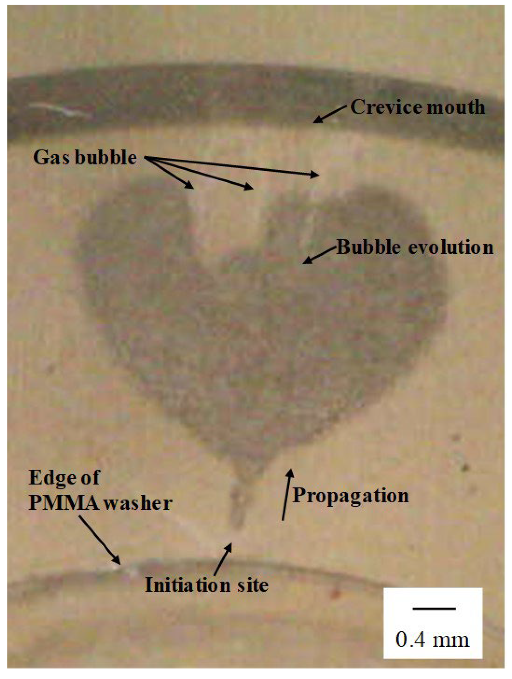 Materials 16 05300 g005