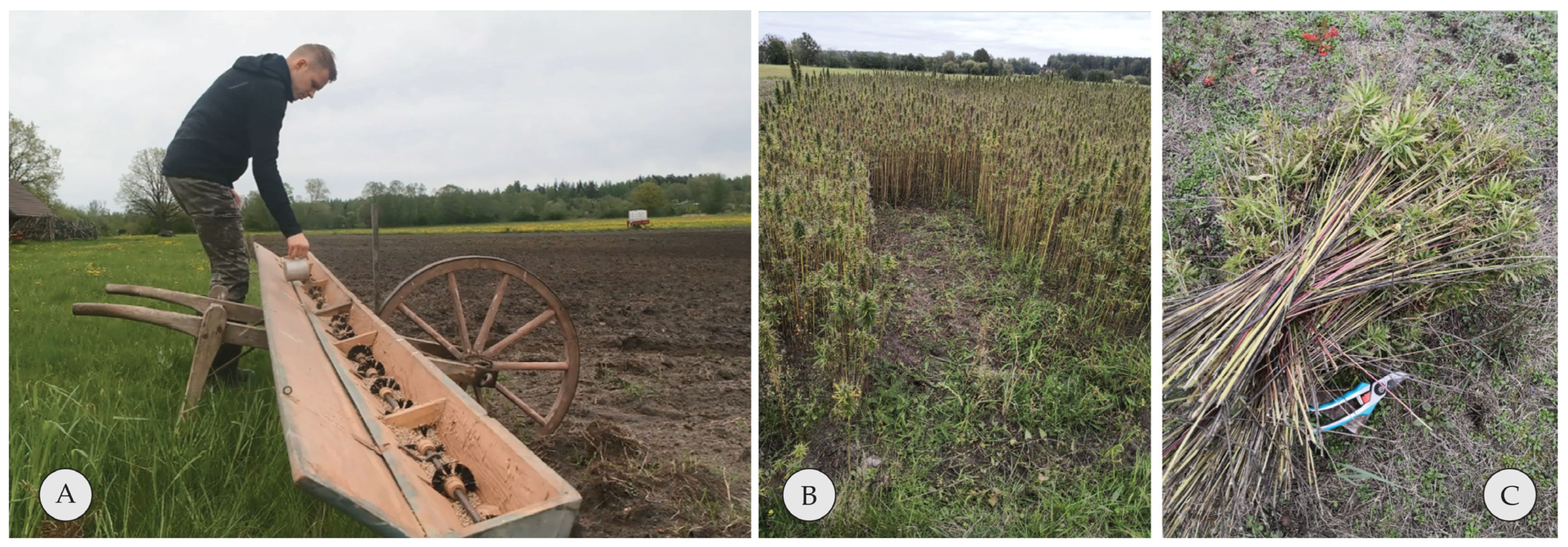 Materials 16 05316 g002