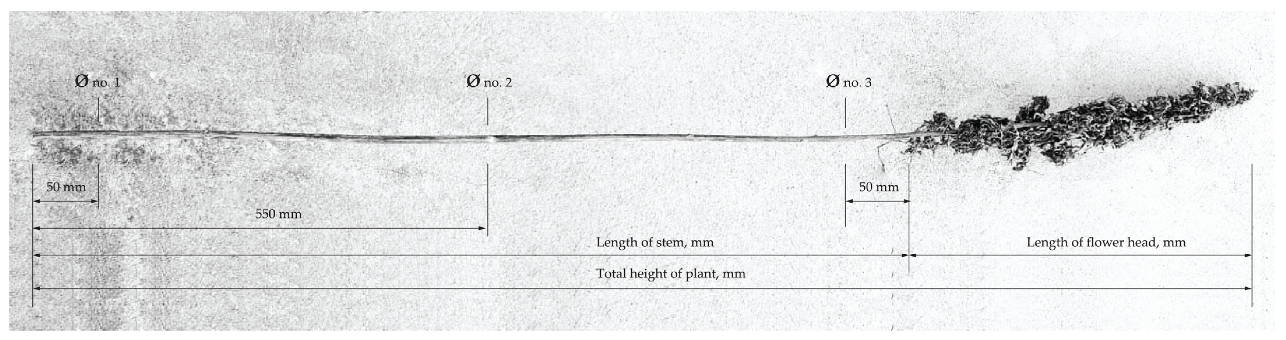 Materials 16 05316 g003