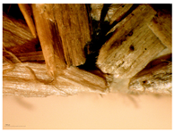 Materials 16 05316 i006