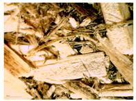 Materials 16 05316 i007